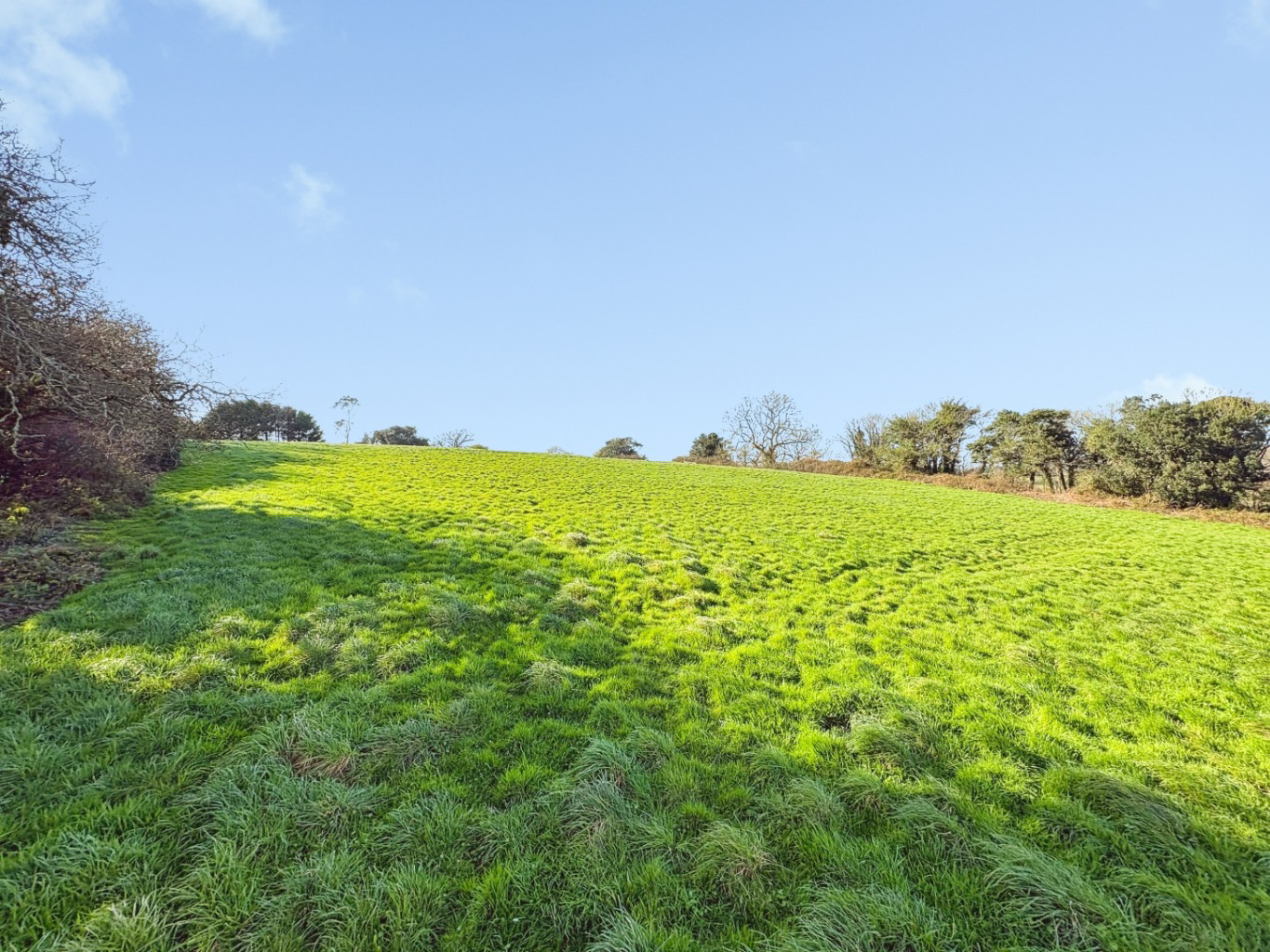Helston, Spacious property set within approximately 3 acres, photo 23