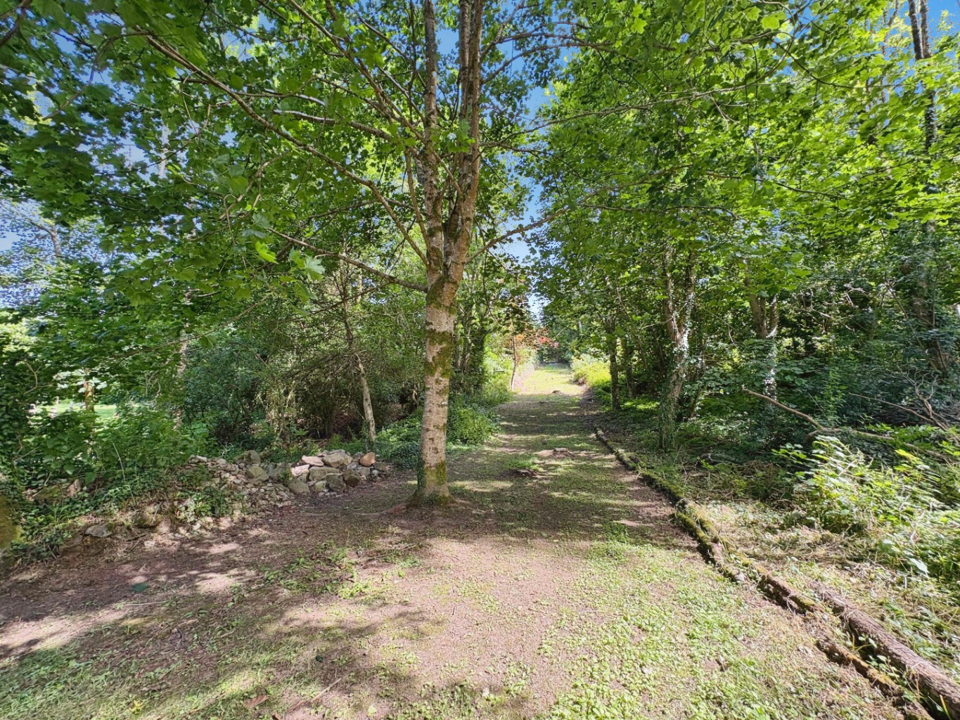 Godolphin Cross, Spacious family home within a generous plot, photo 11