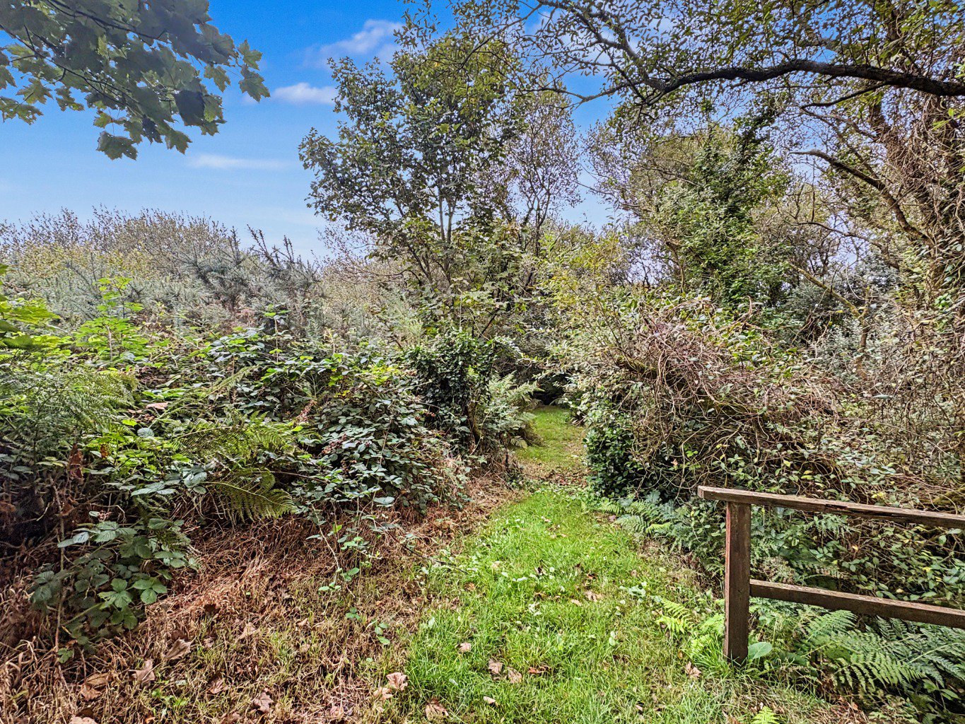 Black Rock, Beautiful barn conversion with approx 2 acres, photo 6
