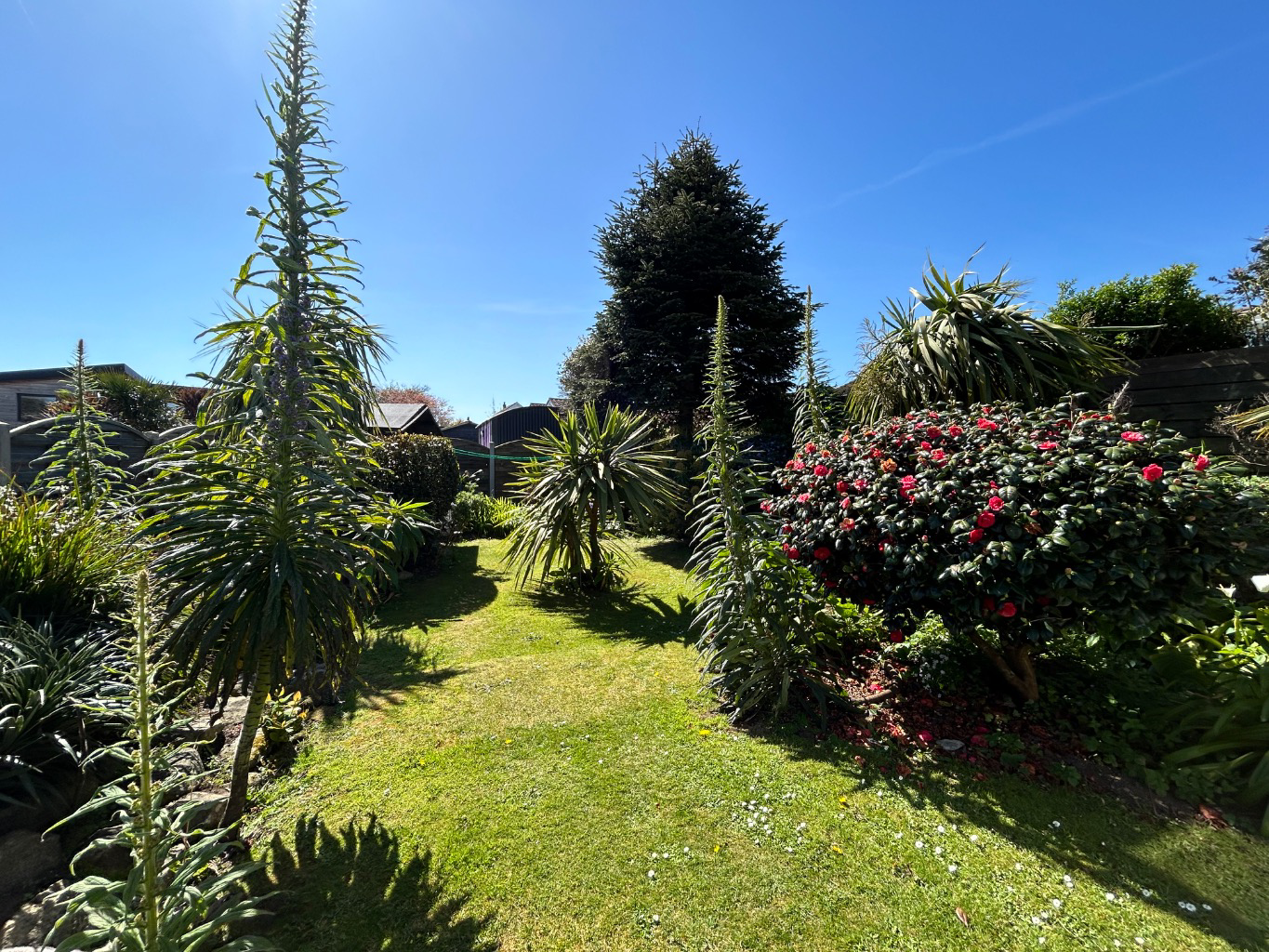 Carbis Bay, Four bed detached family home, photo 15