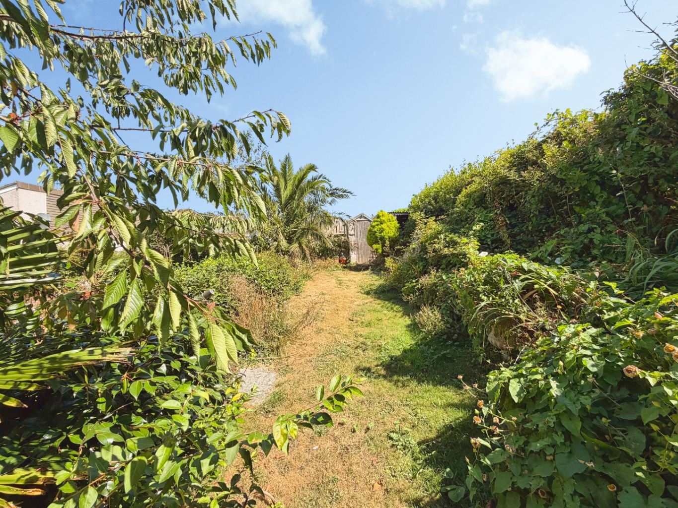 Helston, Detached three bed bungalow with no chain, photo 13