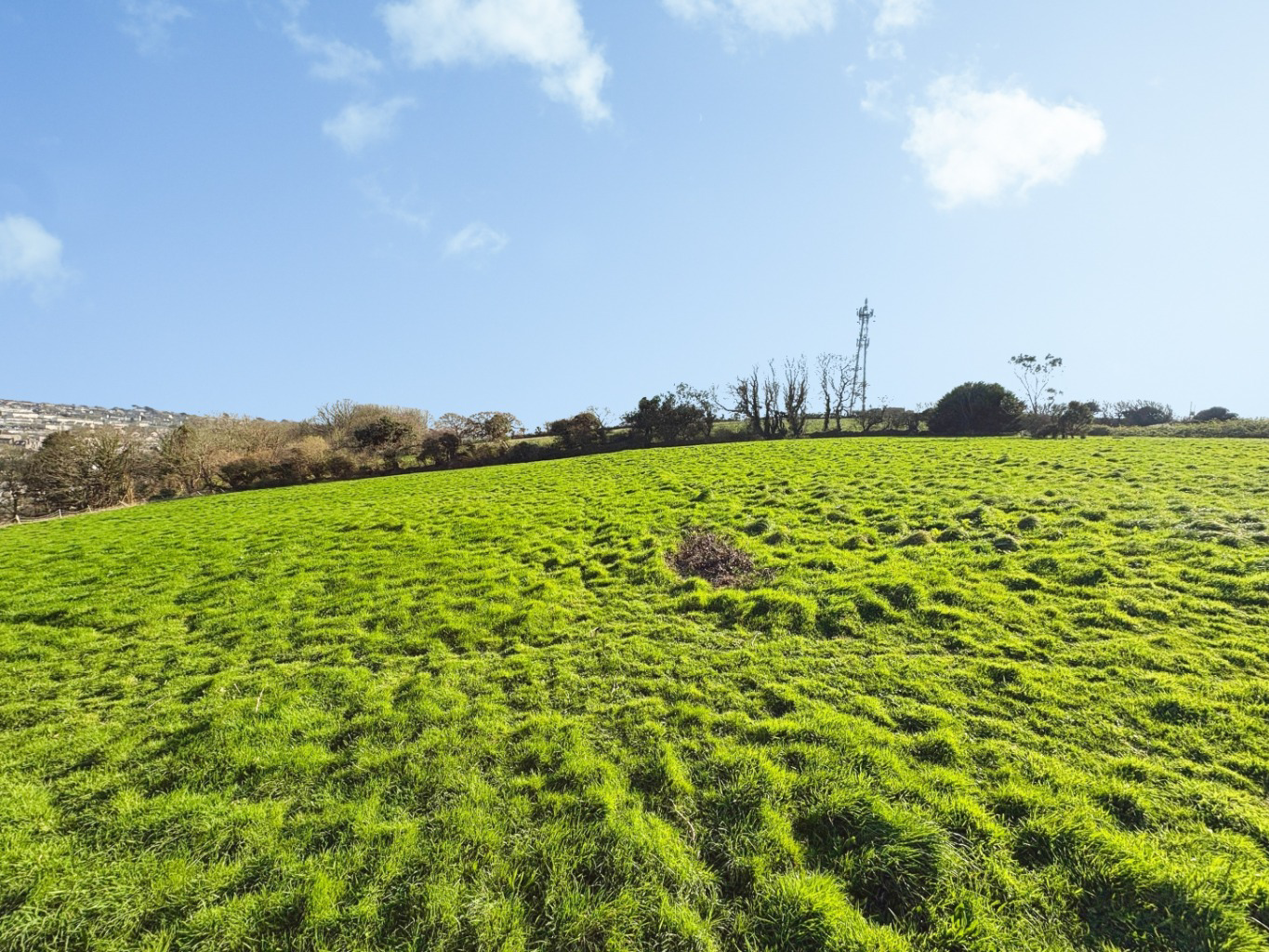 Helston, Spacious property set within approximately 3 acres, photo 2