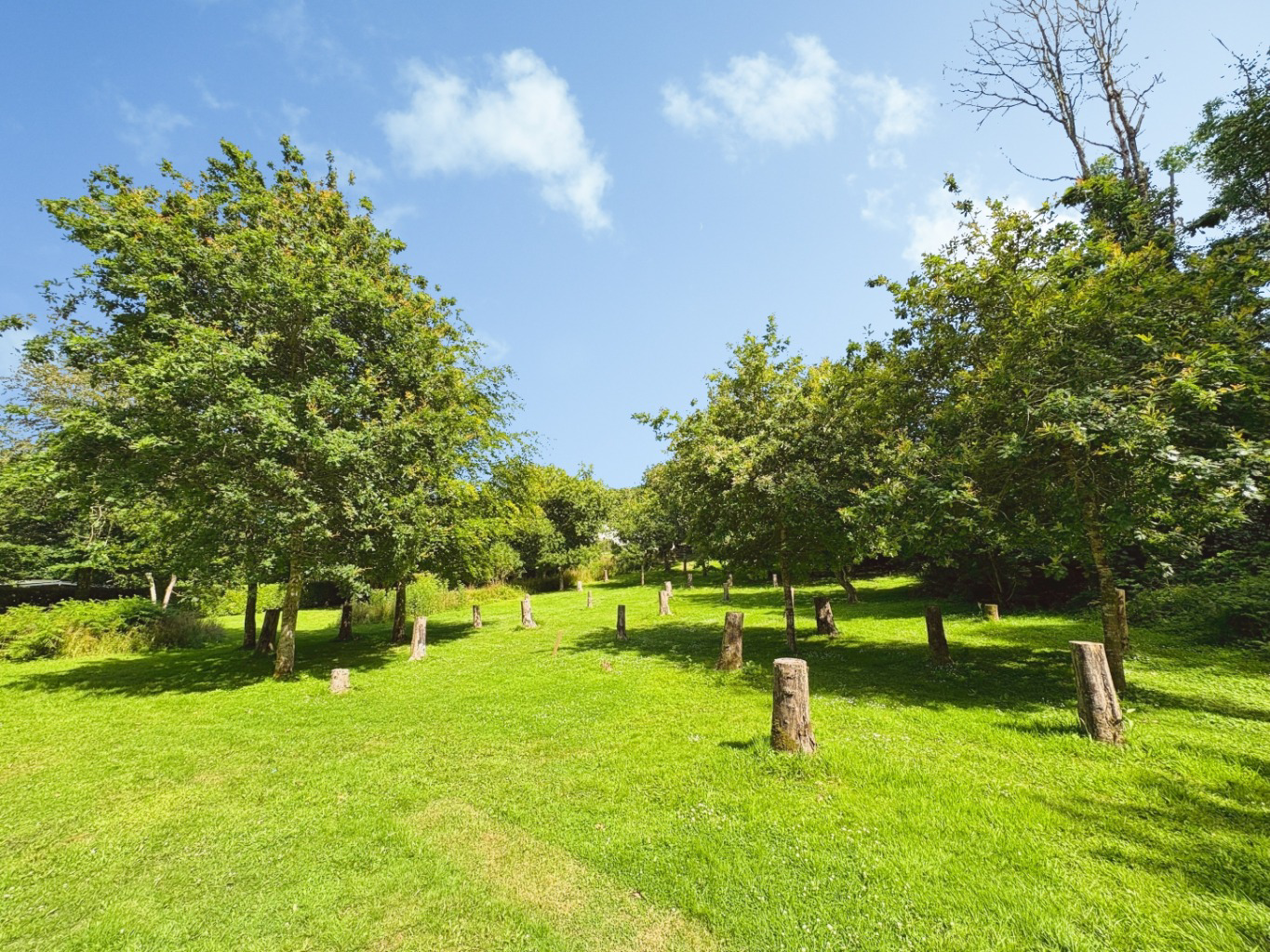 Godolphin Cross, Spacious family home within a generous plot, photo 16