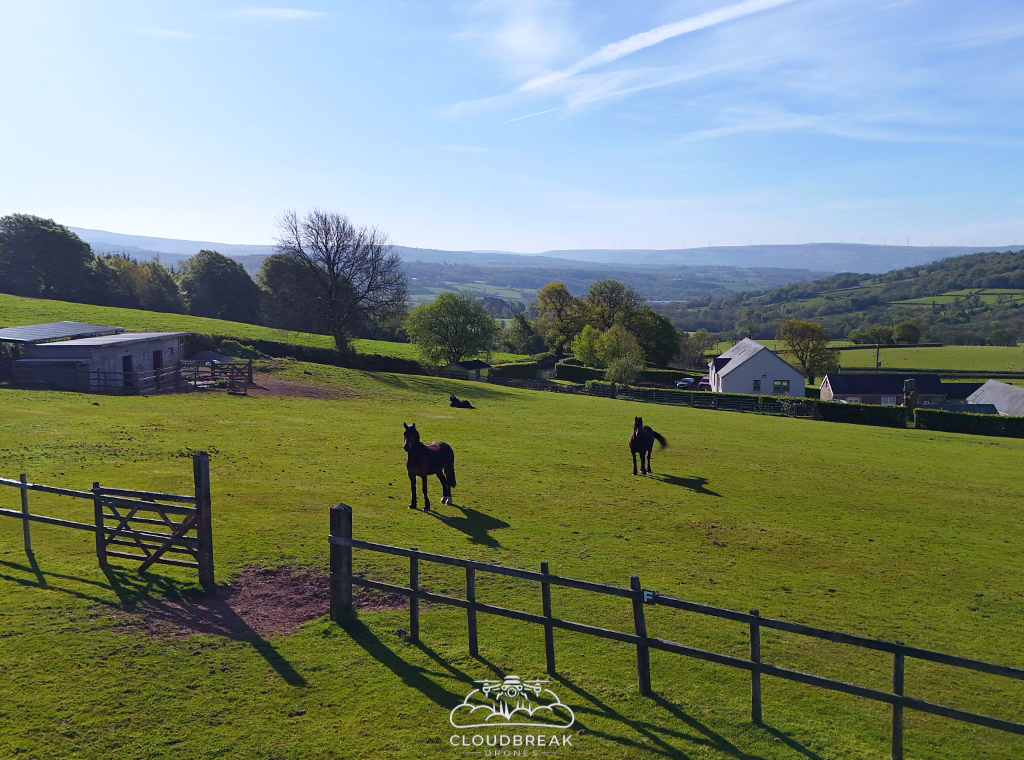 Golden Grove, Carmarthen, SA32, photo 2
