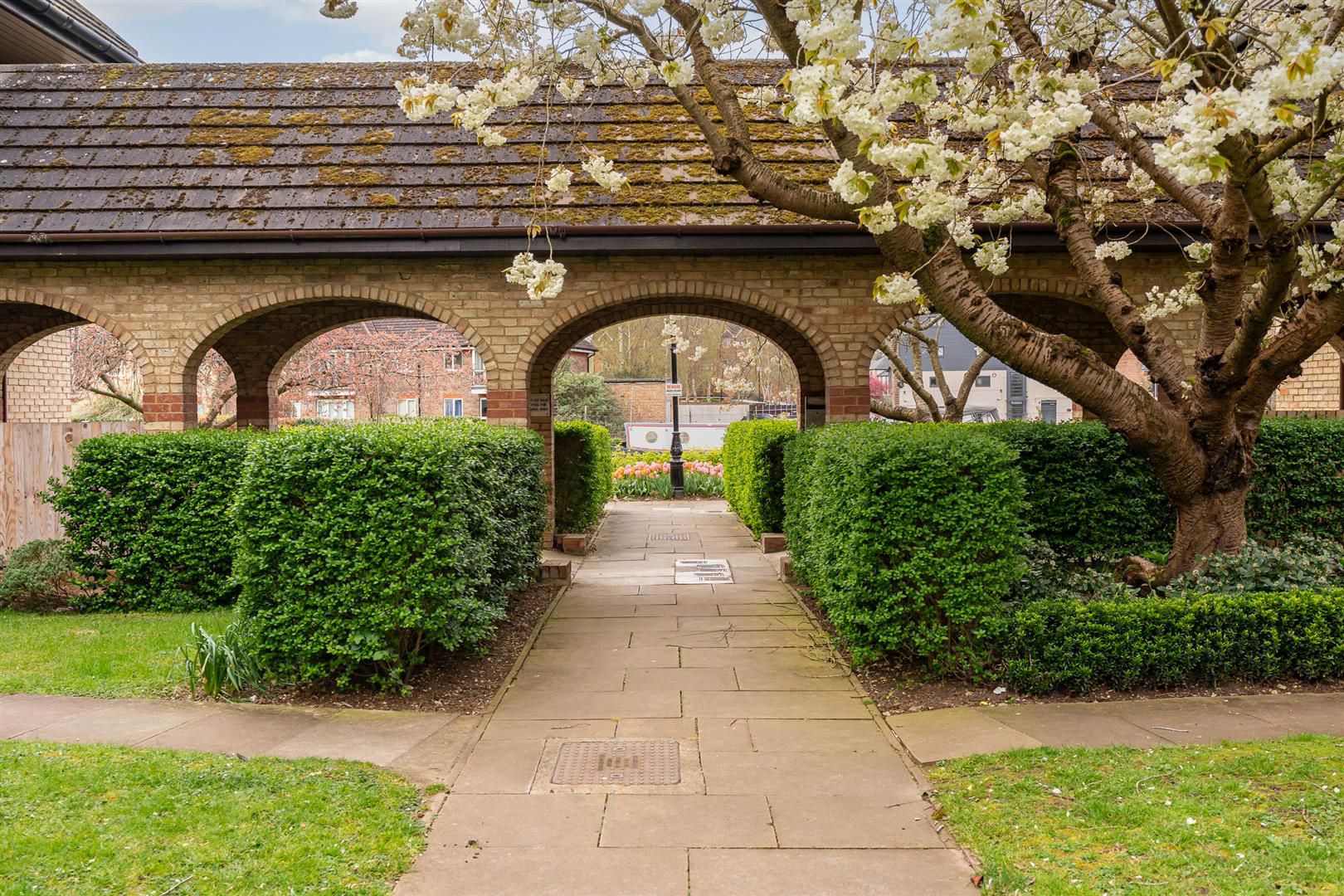 Lygean Avenue, Ware, photo 16