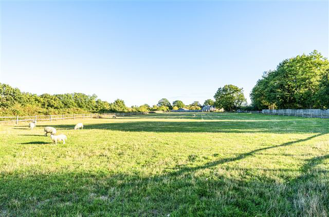 Maplewood Drive, Lingfield, Surrey, RH7 6GQ, photo 3