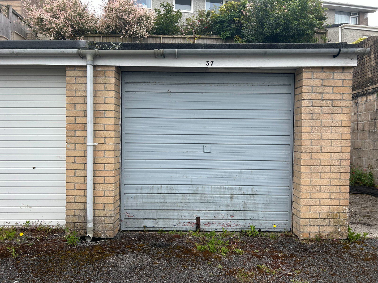 Holly Park Drive, Holly Park, Plymouth, photo 12