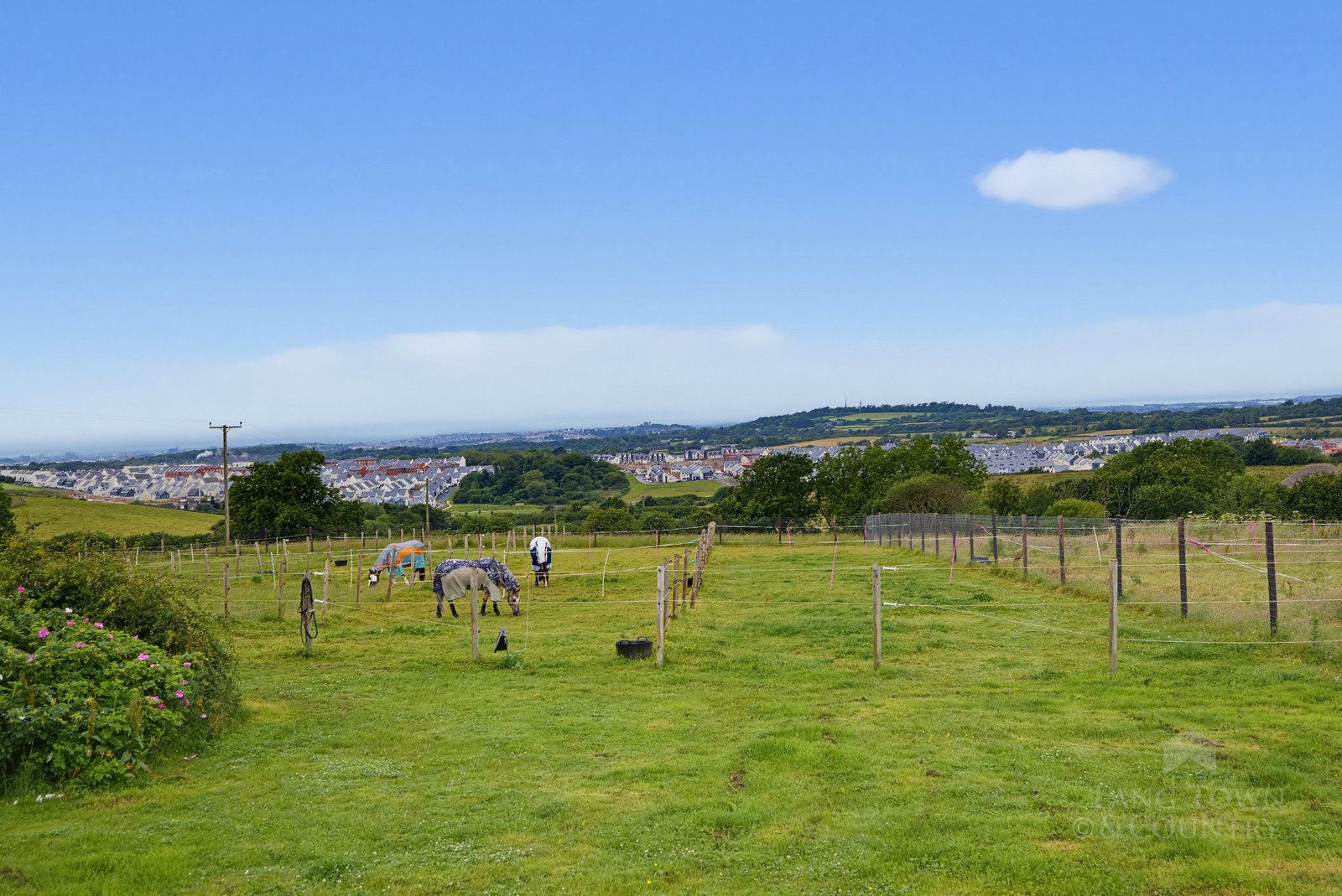 Gentian Hill, Brixton, Plymouth, photo 33