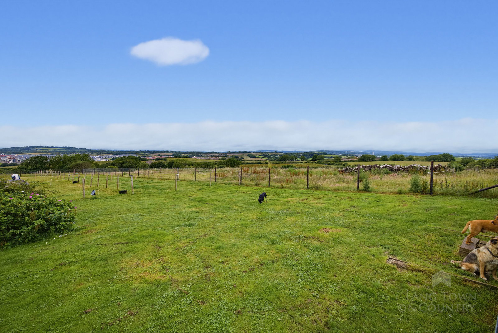 Gentian Hill, Brixton, Plymouth, photo 31