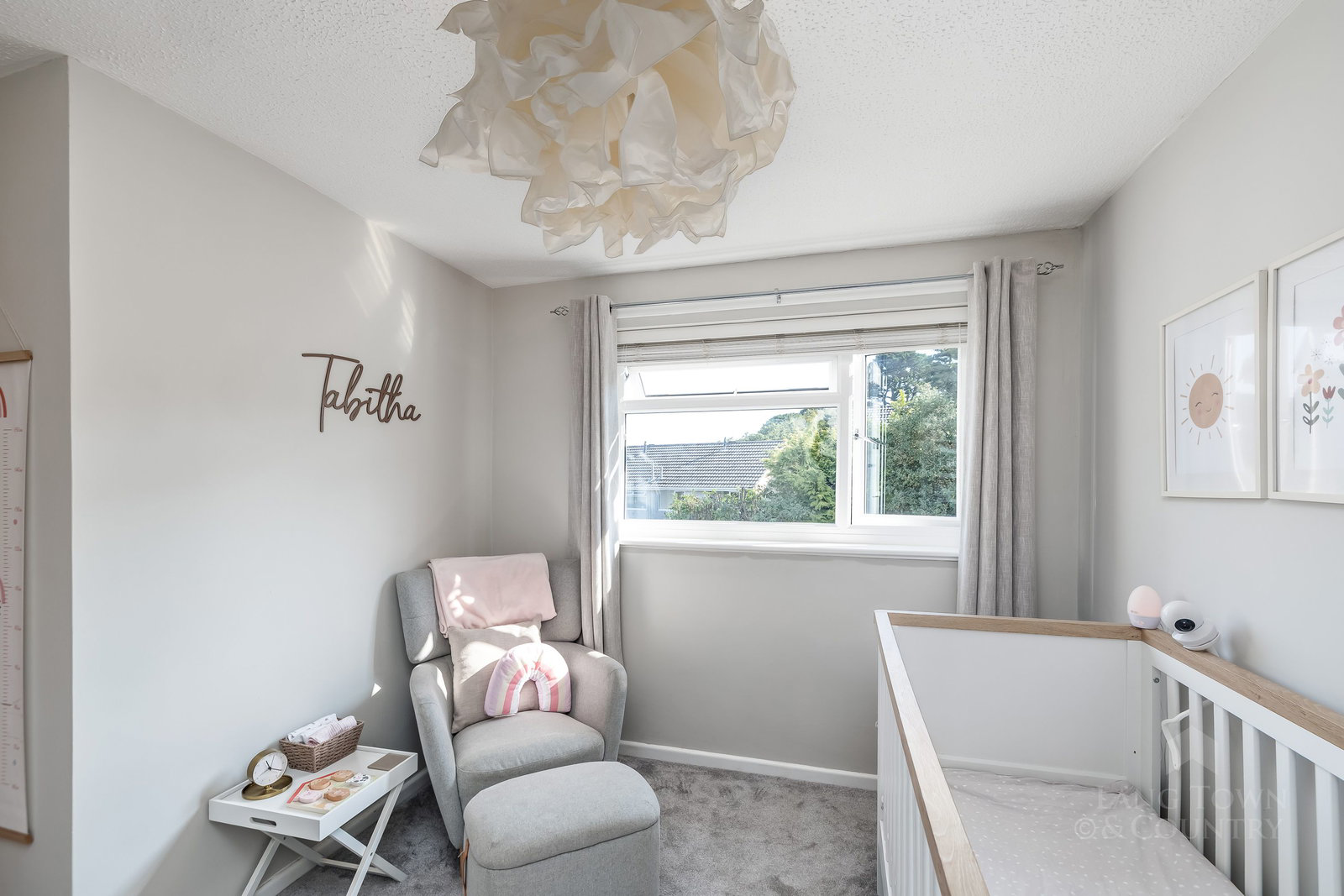 Holly Park Close, Tamerton Foliot, Plymouth, photo 16
