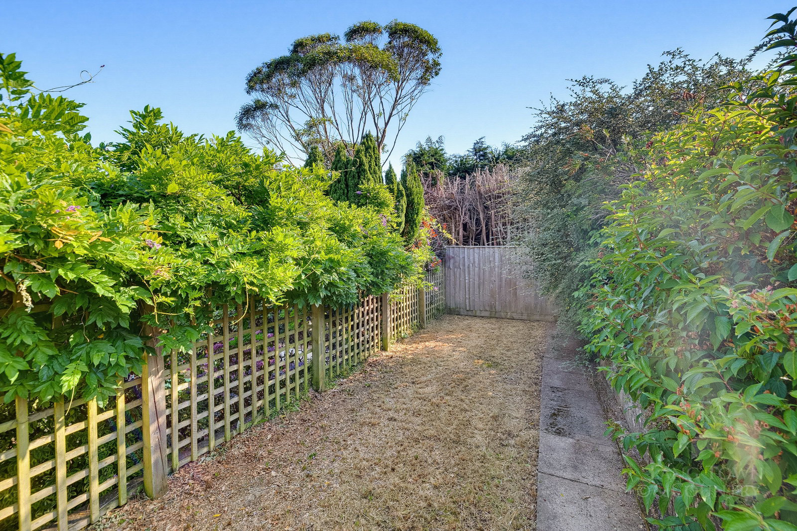 Holly Park Close, Tamerton Foliot, Plymouth, photo 32