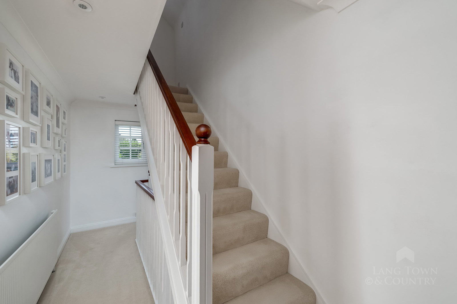 Powisland Drive, Derriford, Plymouth, photo 34