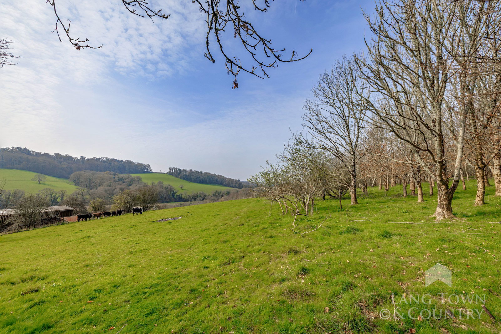 Morvah, Saltash, Cornwall, photo 54