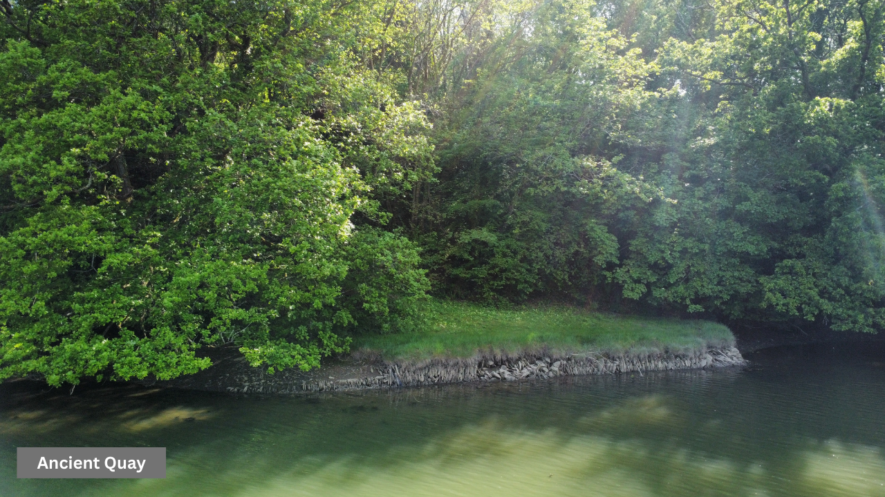 Moditonham, Saltash, Cornwall, photo 11
