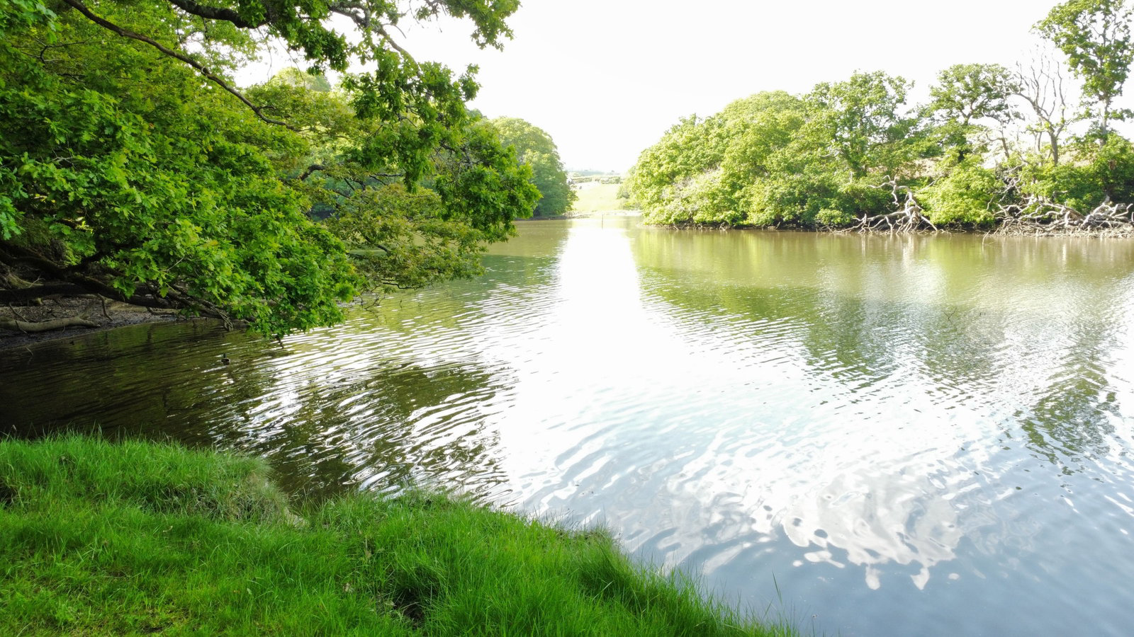 Moditonham, Saltash, Cornwall, photo 12