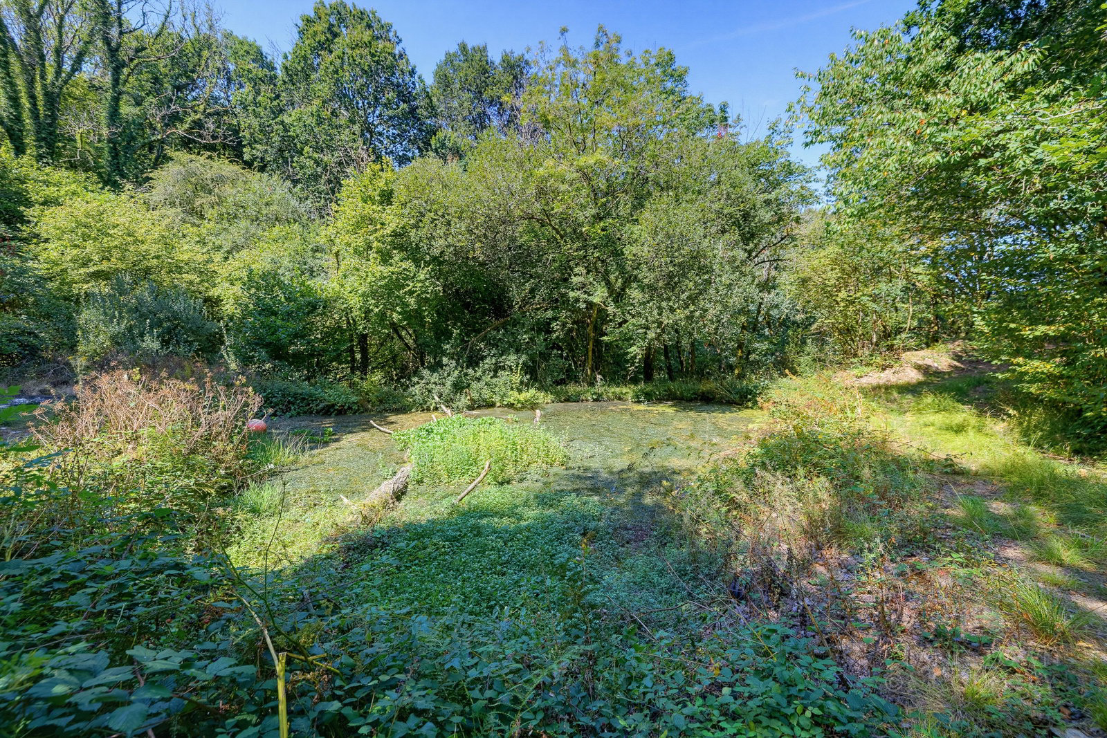 Moditonham, Saltash, Cornwall, photo 14
