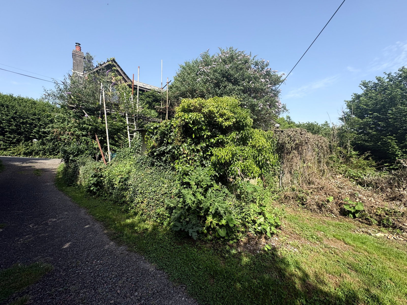 The Old School, Botus Fleming, Cornwall, photo 5