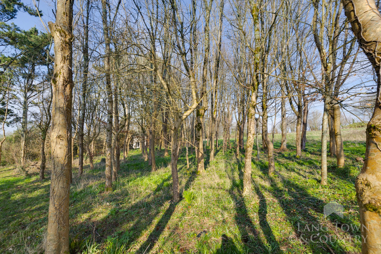 Photo 40