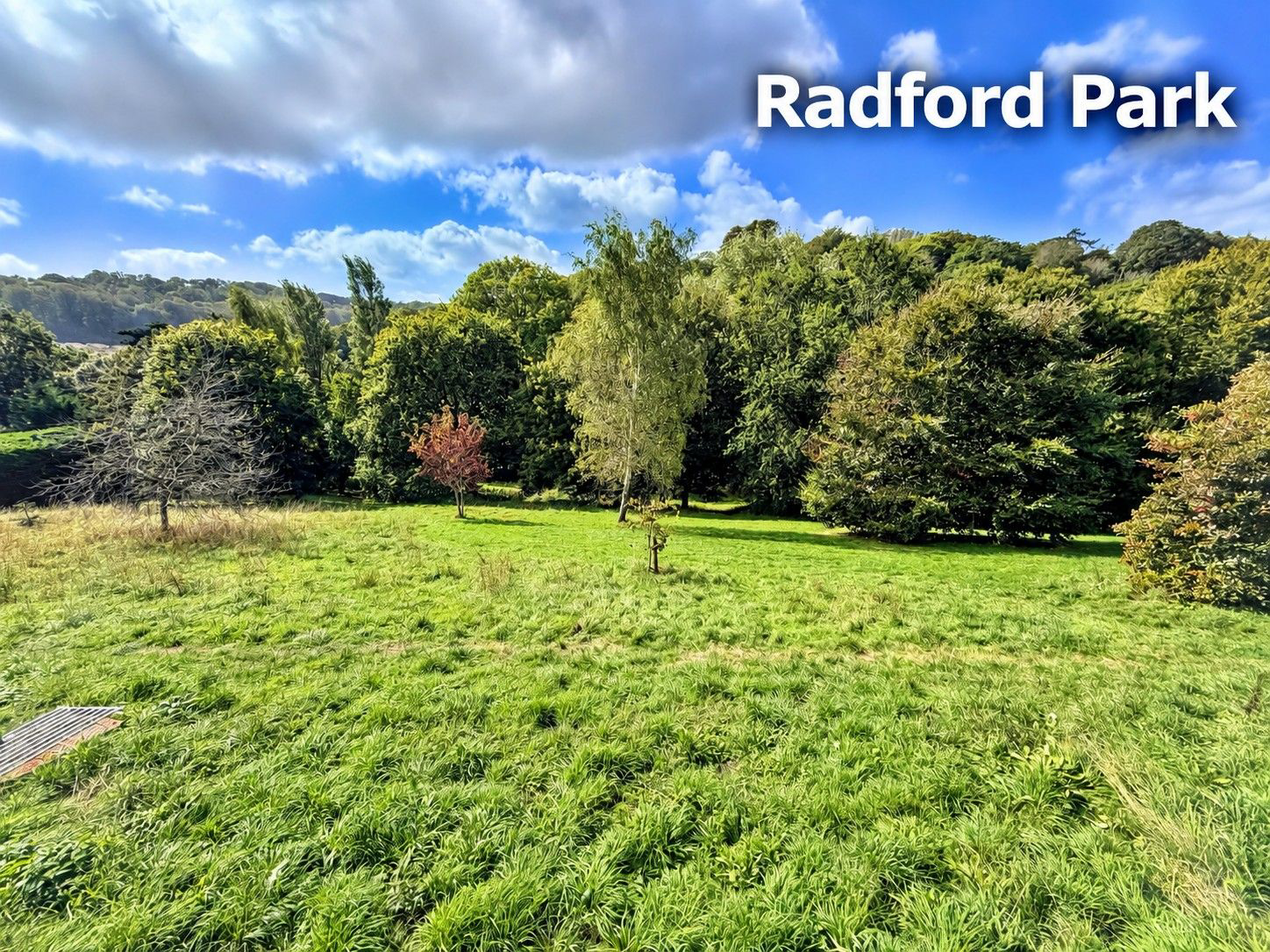 Radford Park Road, Plymstock, Plymouth, photo 19