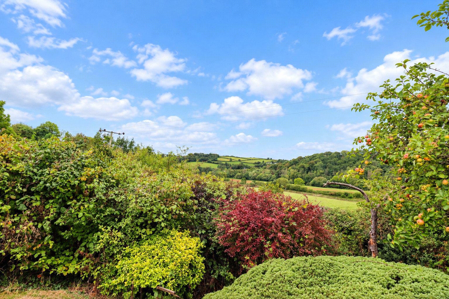 Umberleigh, Devon, EX37, photo 18