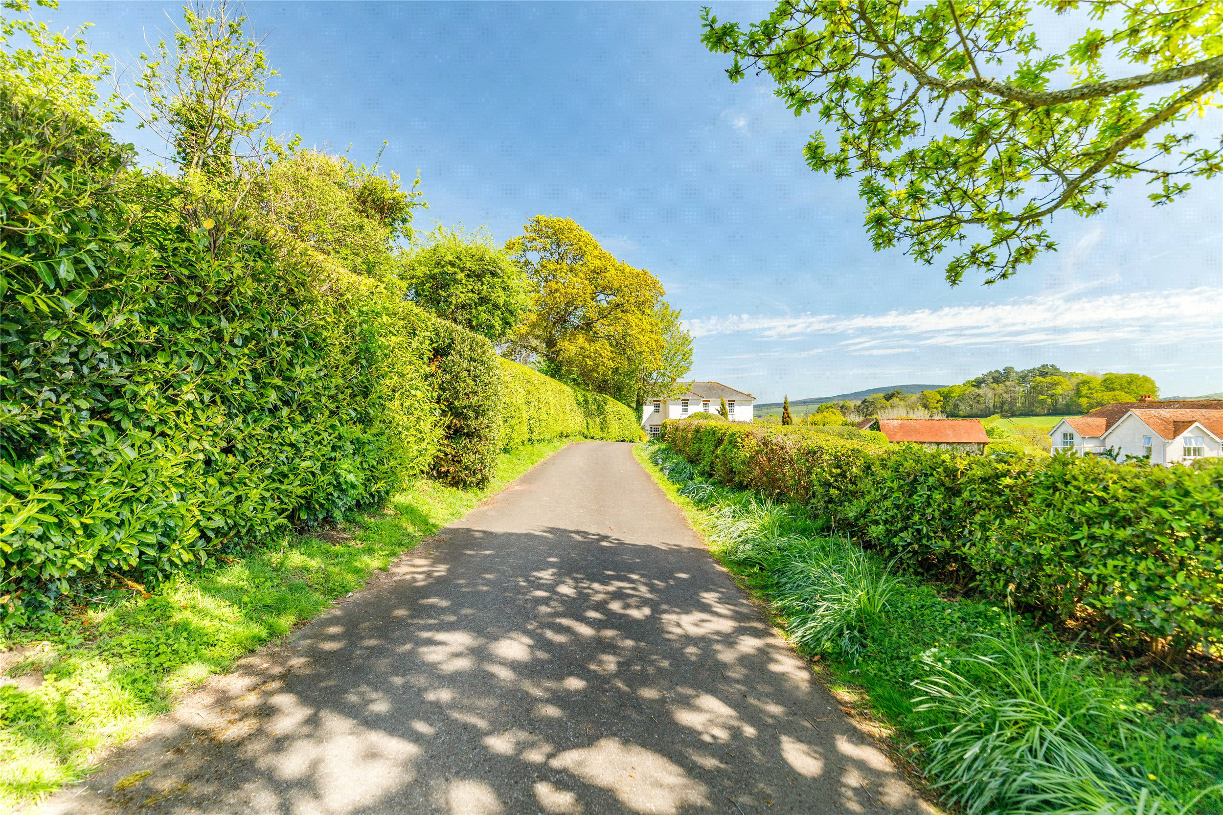 Wootton Courtenay, Minehead, Somerset, TA24, photo 23