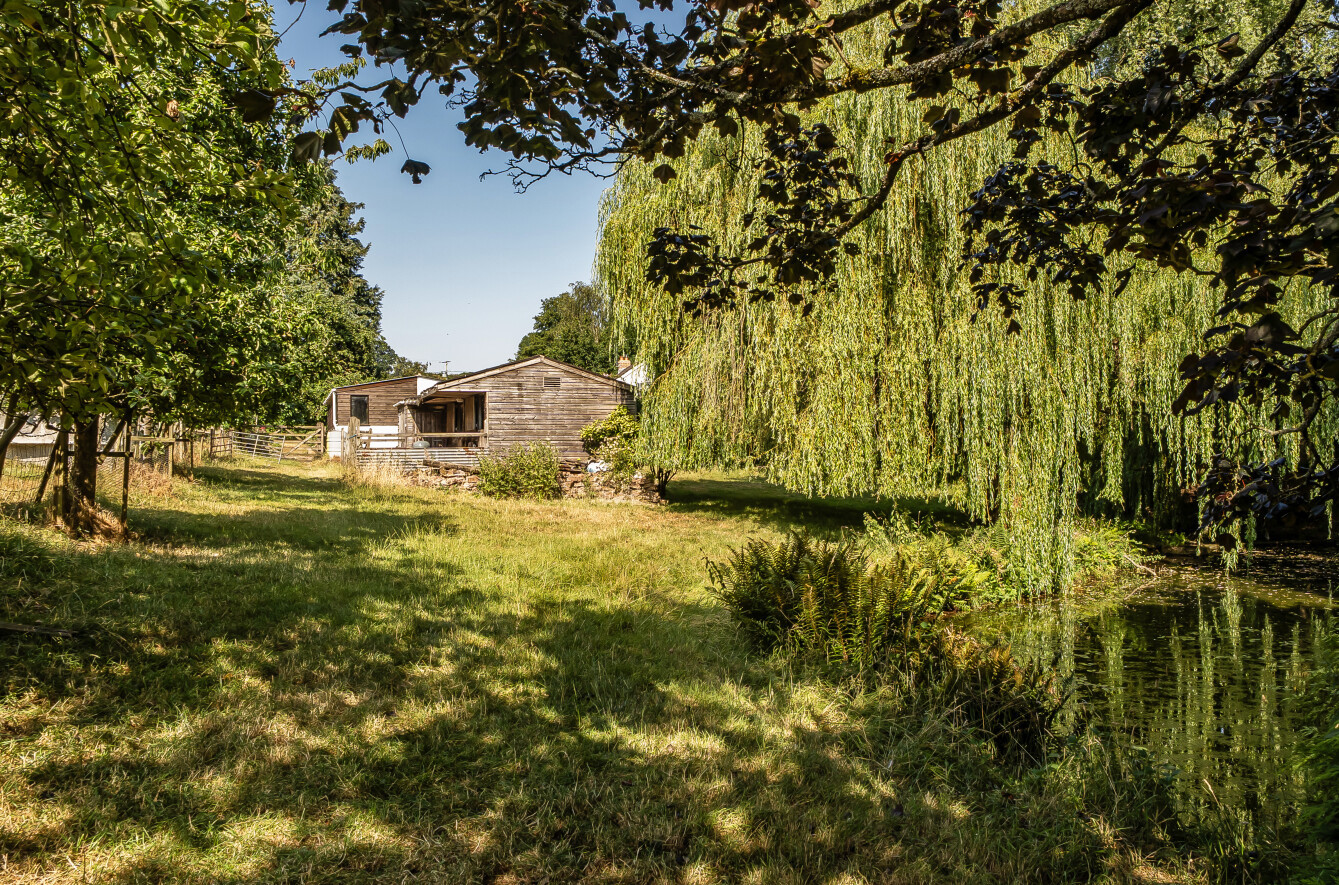Thorne St. Margaret, Wellington, Somerset, TA21, photo 34