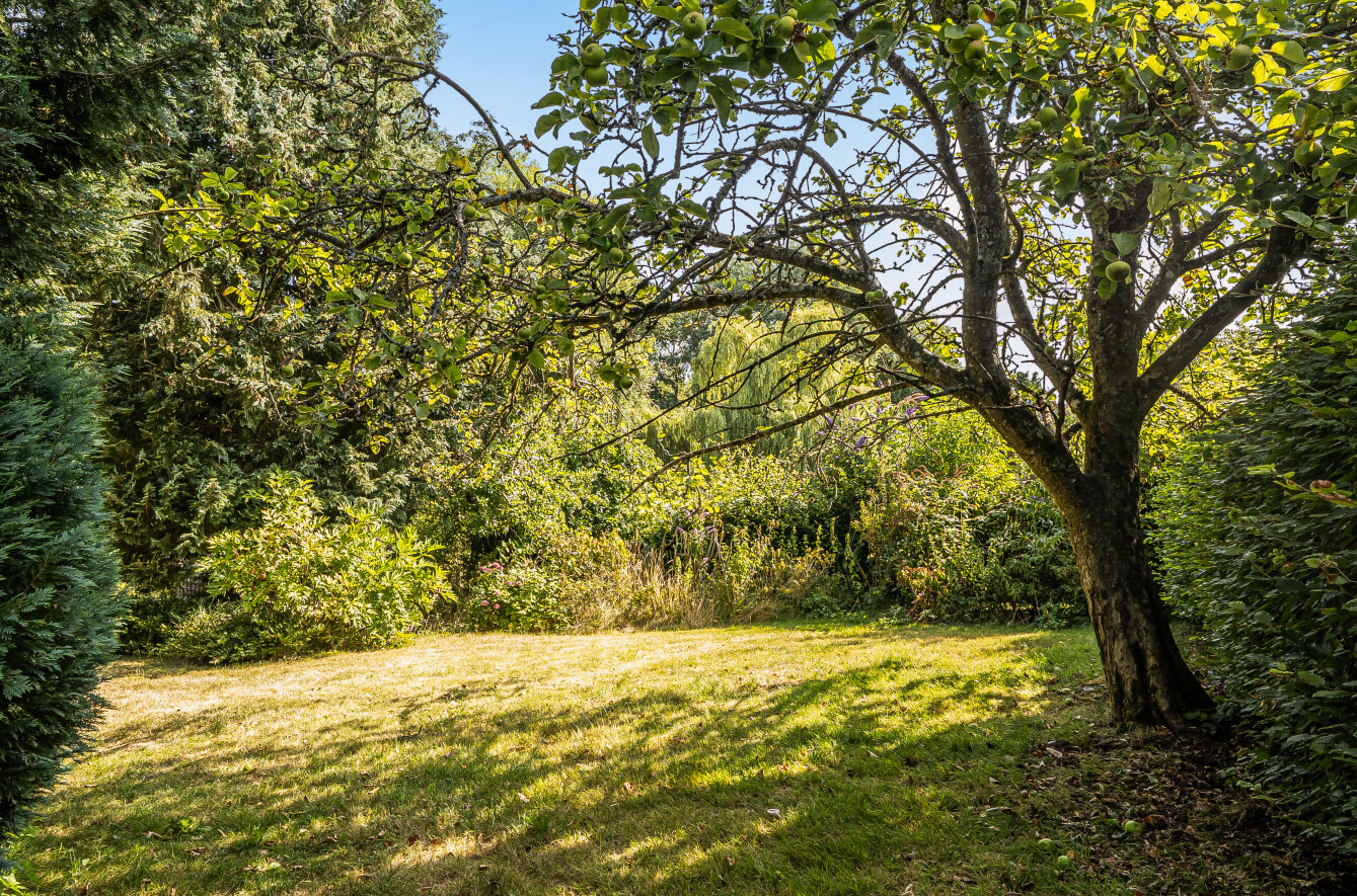 Thorne St. Margaret, Wellington, Somerset, TA21, photo 31
