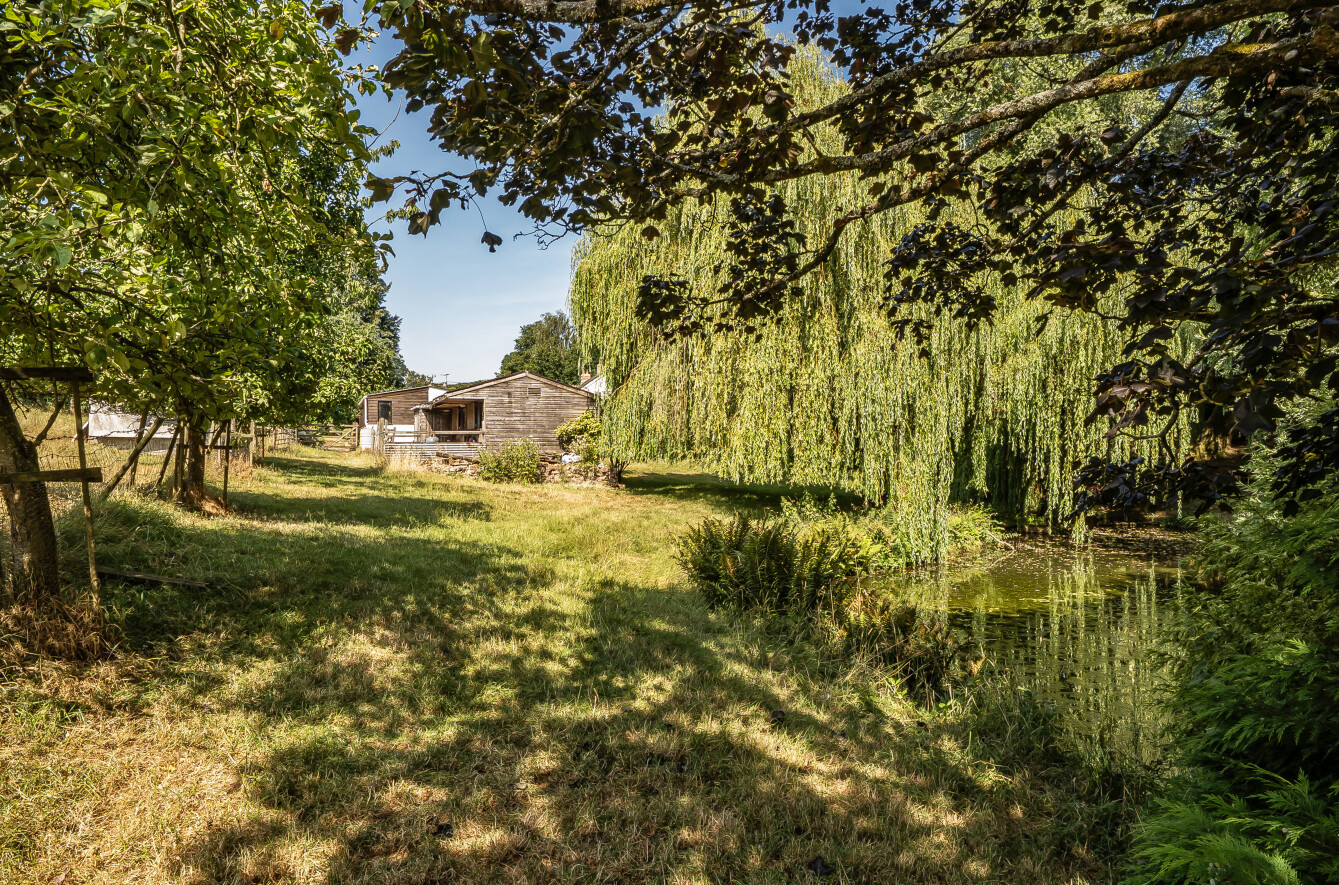 Thorne St. Margaret, Wellington, Somerset, TA21, photo 19