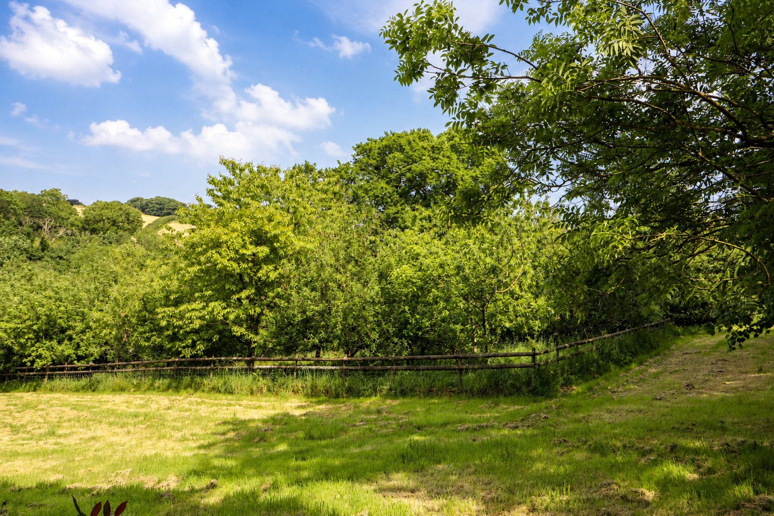 Parkham, Bideford, Devon, EX39, photo 33