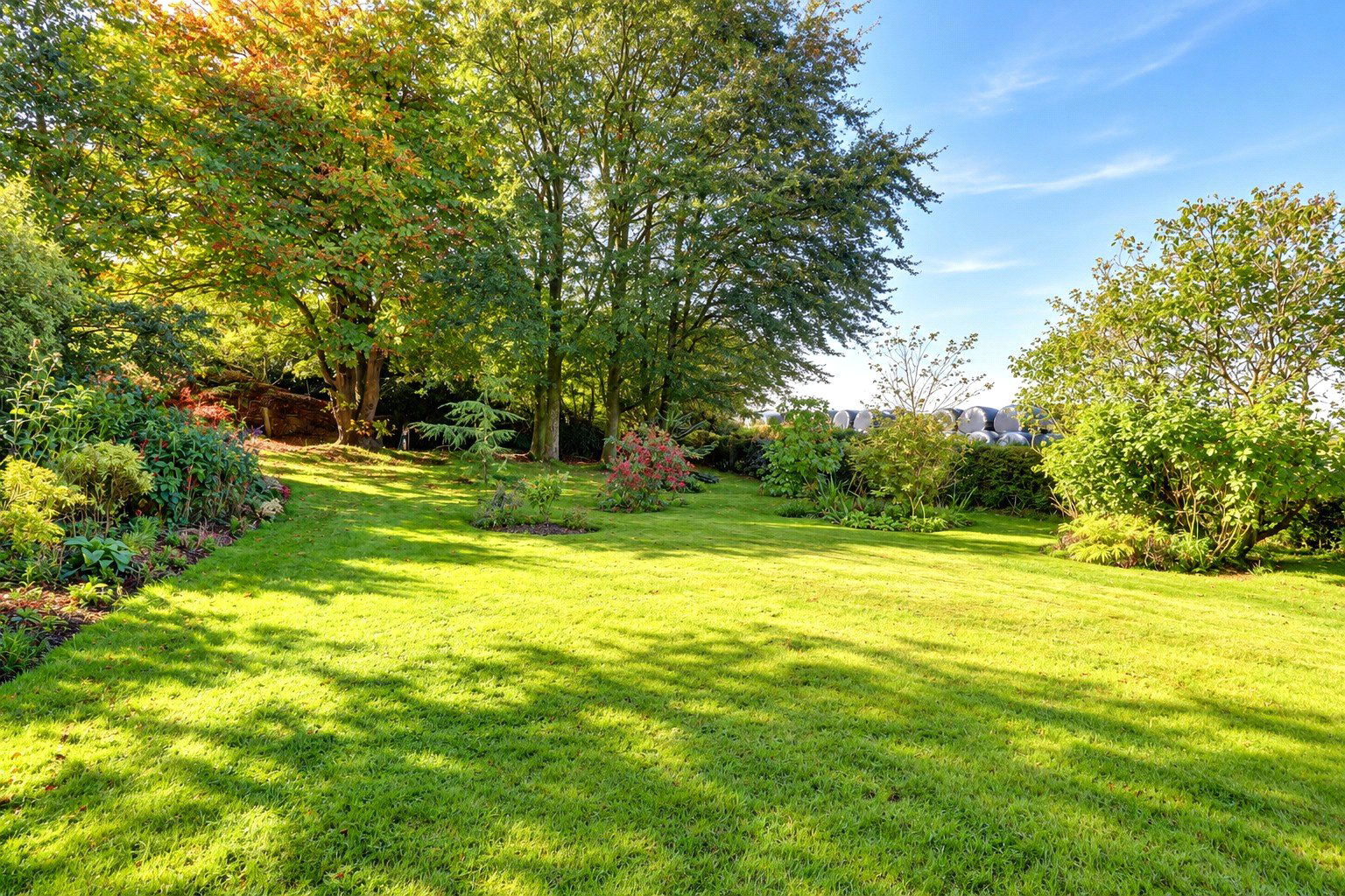 High Bickington, Umberleigh, Devon, EX37, photo 11