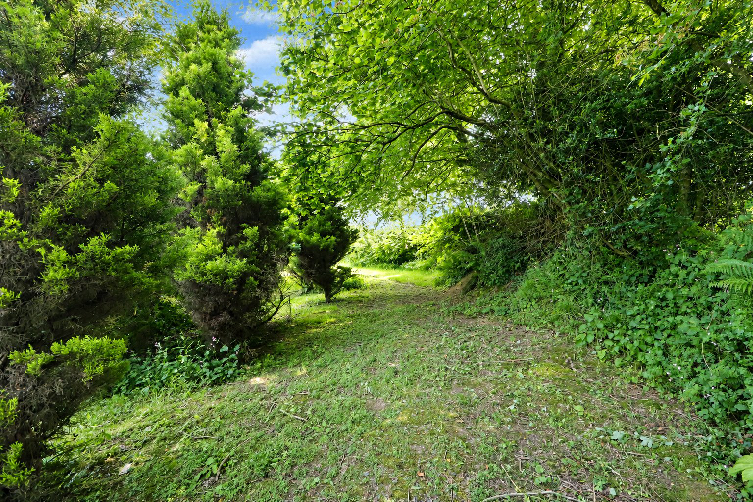 Parkham, Bideford, Devon, EX39, photo 31