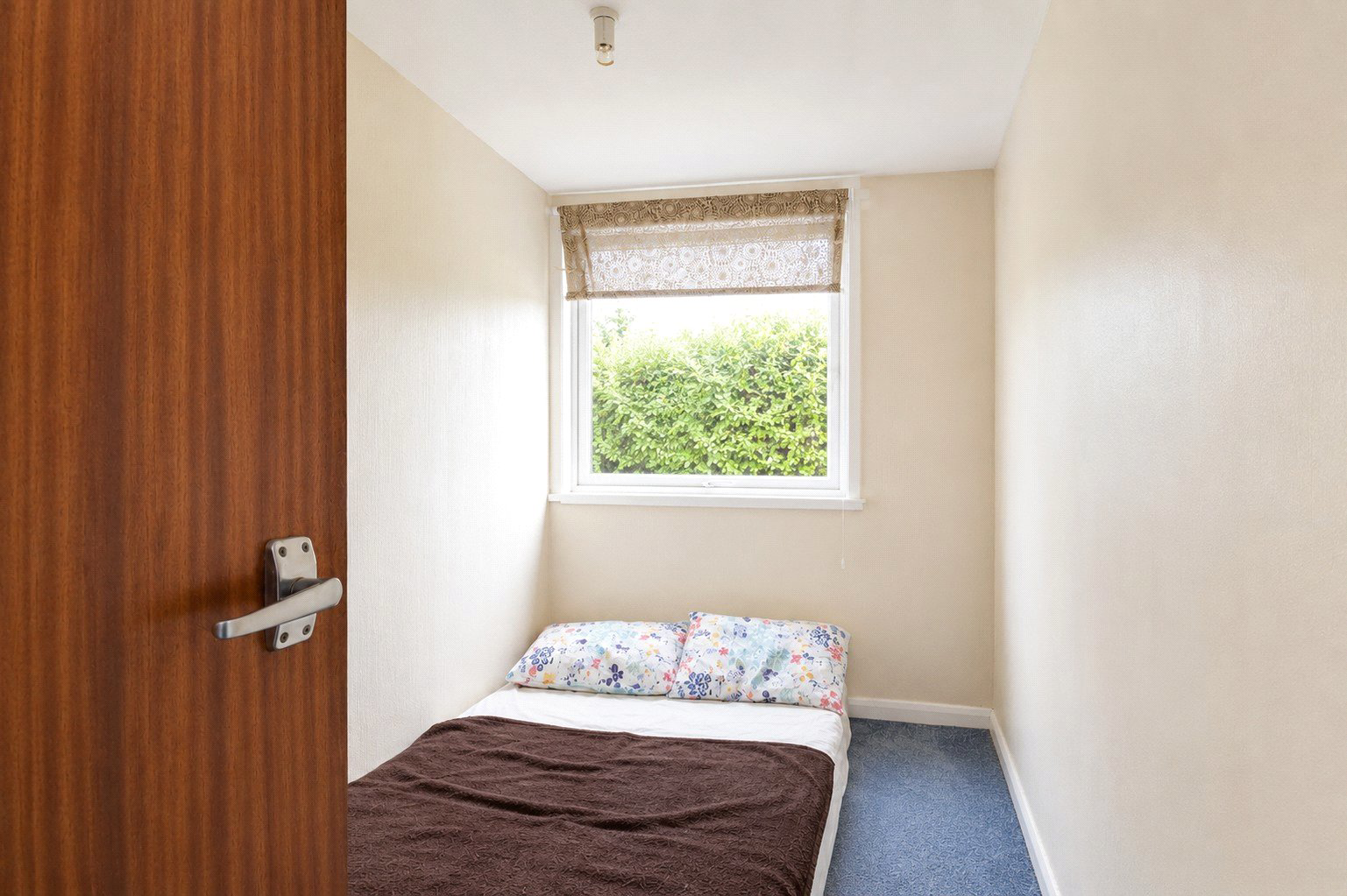 Whitehall Close, South Molton, Devon, EX36, photo 8