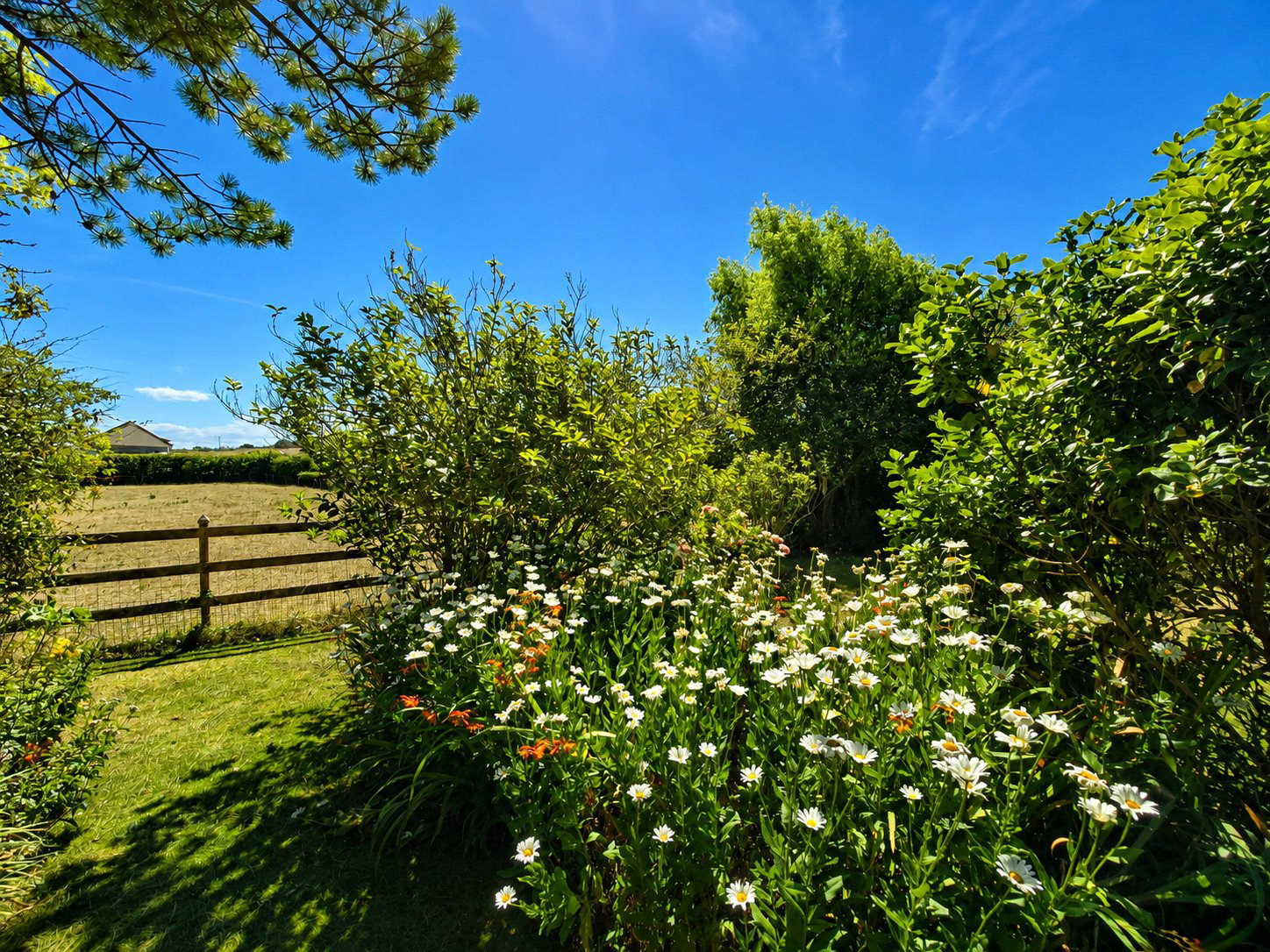 Combe Lane, Widemouth Bay, Bude, Cornwall, EX23, photo 30
