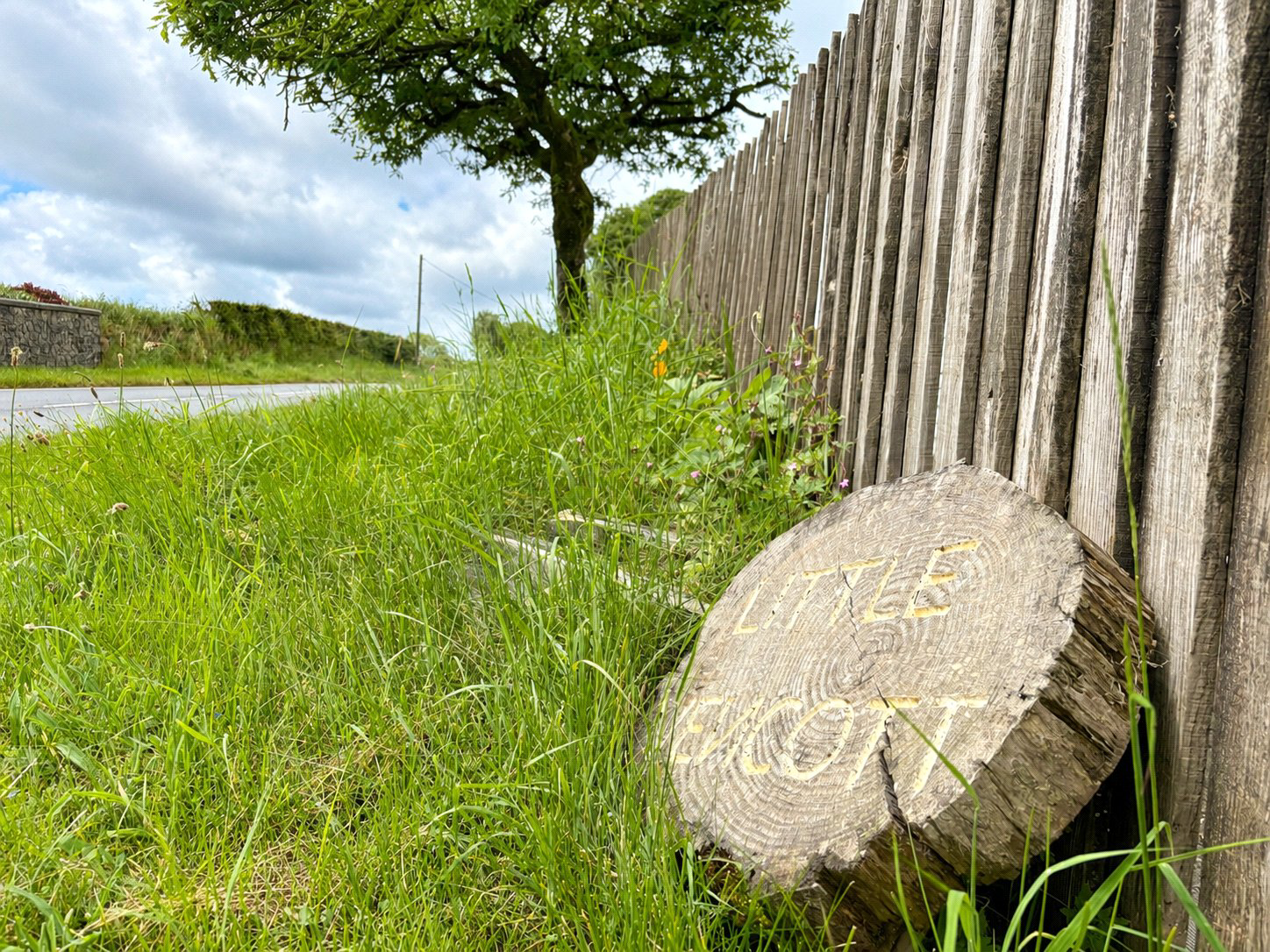 Newton St. Petrock, Holsworthy, Devon, EX22, photo 5