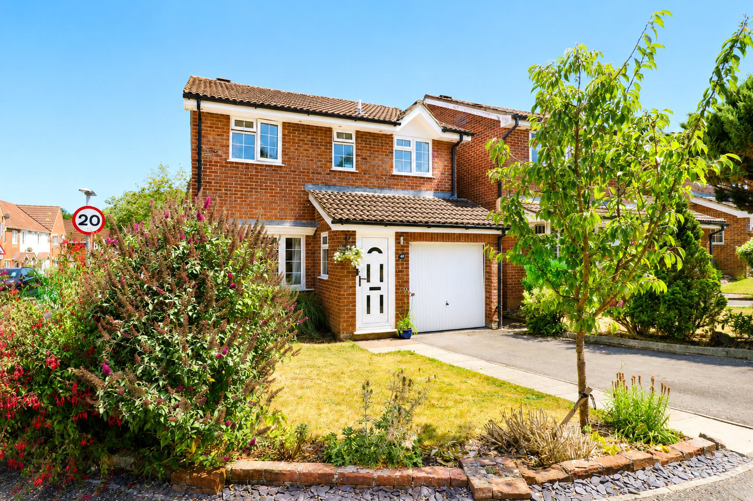 Lion d'Angers, Wiveliscombe, Taunton, Somerset, TA4