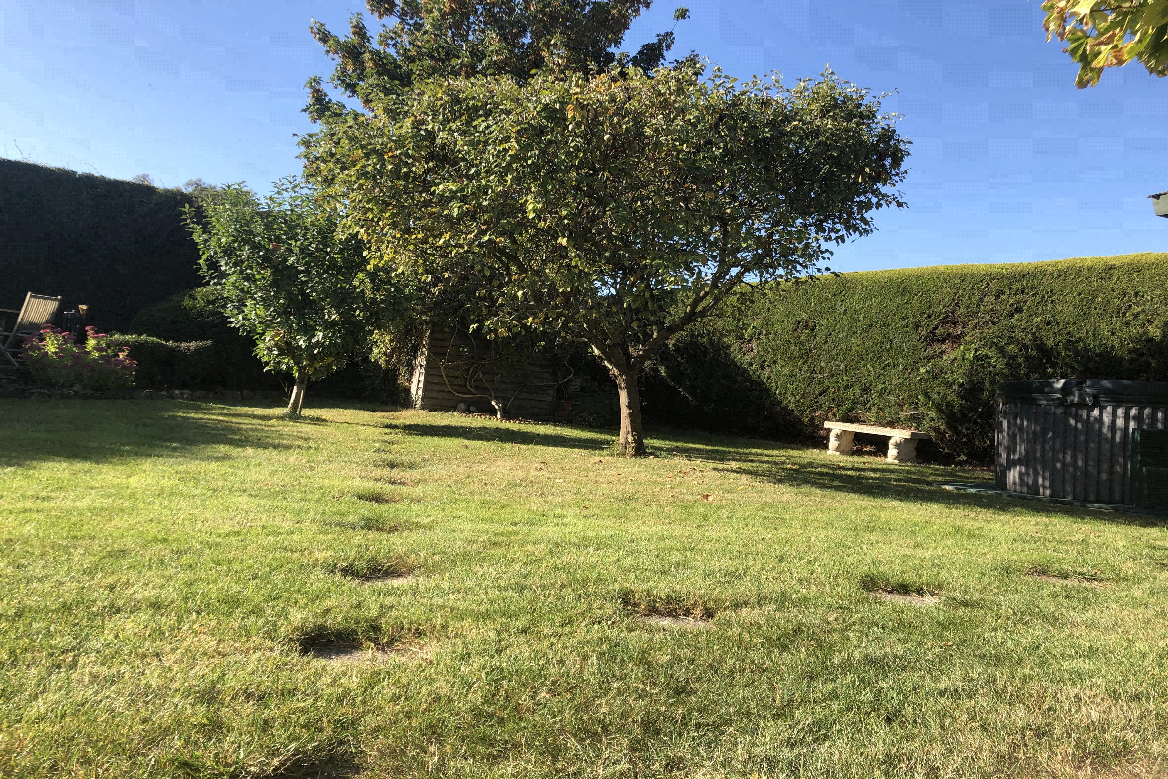 Photo 22
