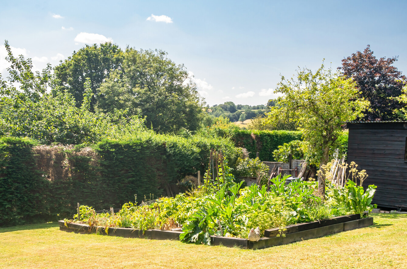 Jury Road, Dulverton, Somerset, TA22, photo 22