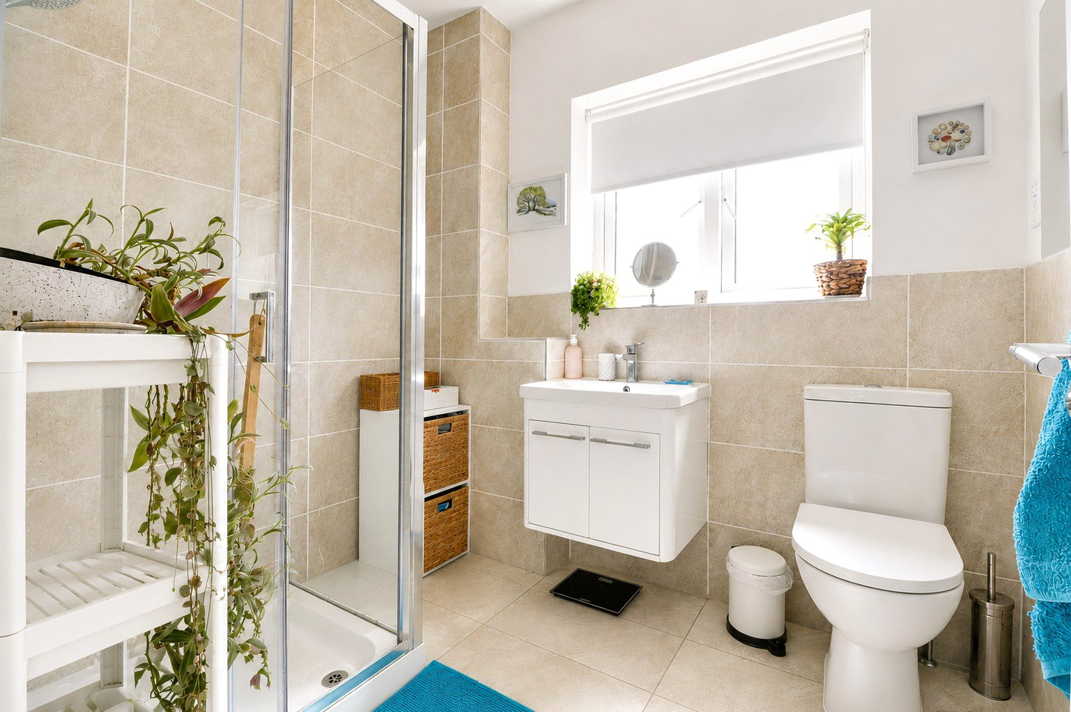 Honey Farm Close, South Molton, Devon, EX36, photo 11
