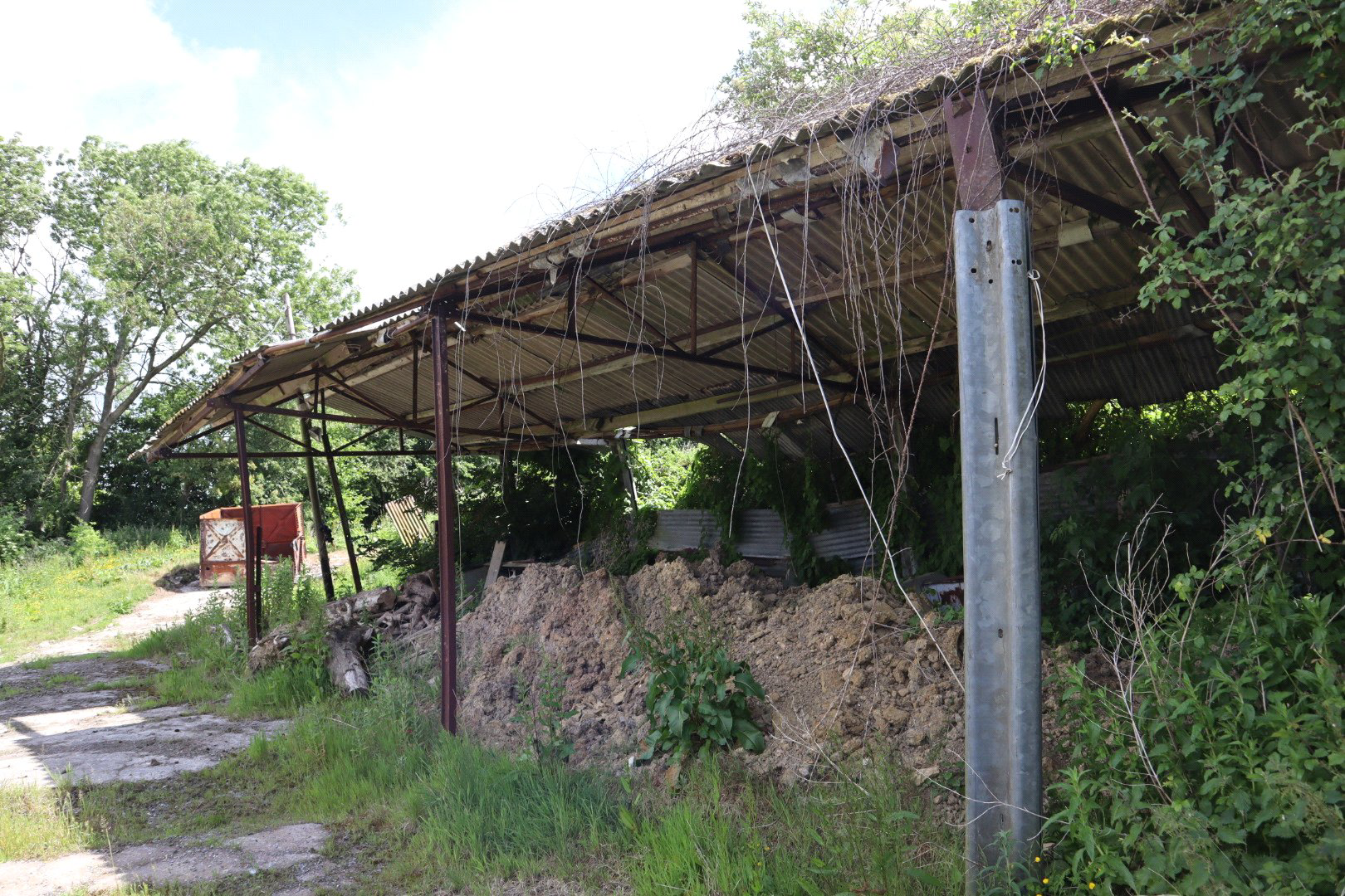 Photo 6