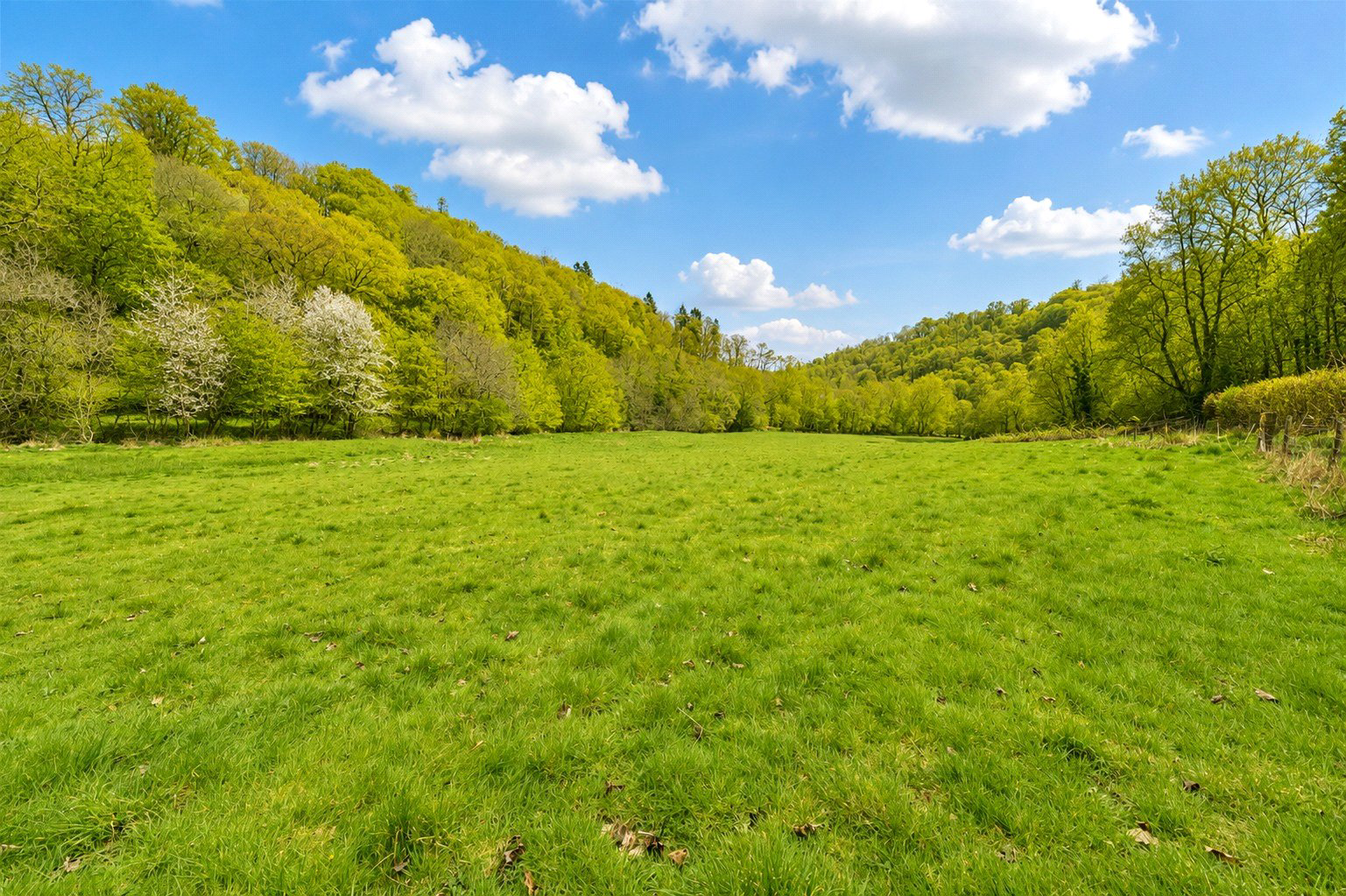 Dulverton, Somerset, TA22, photo 2
