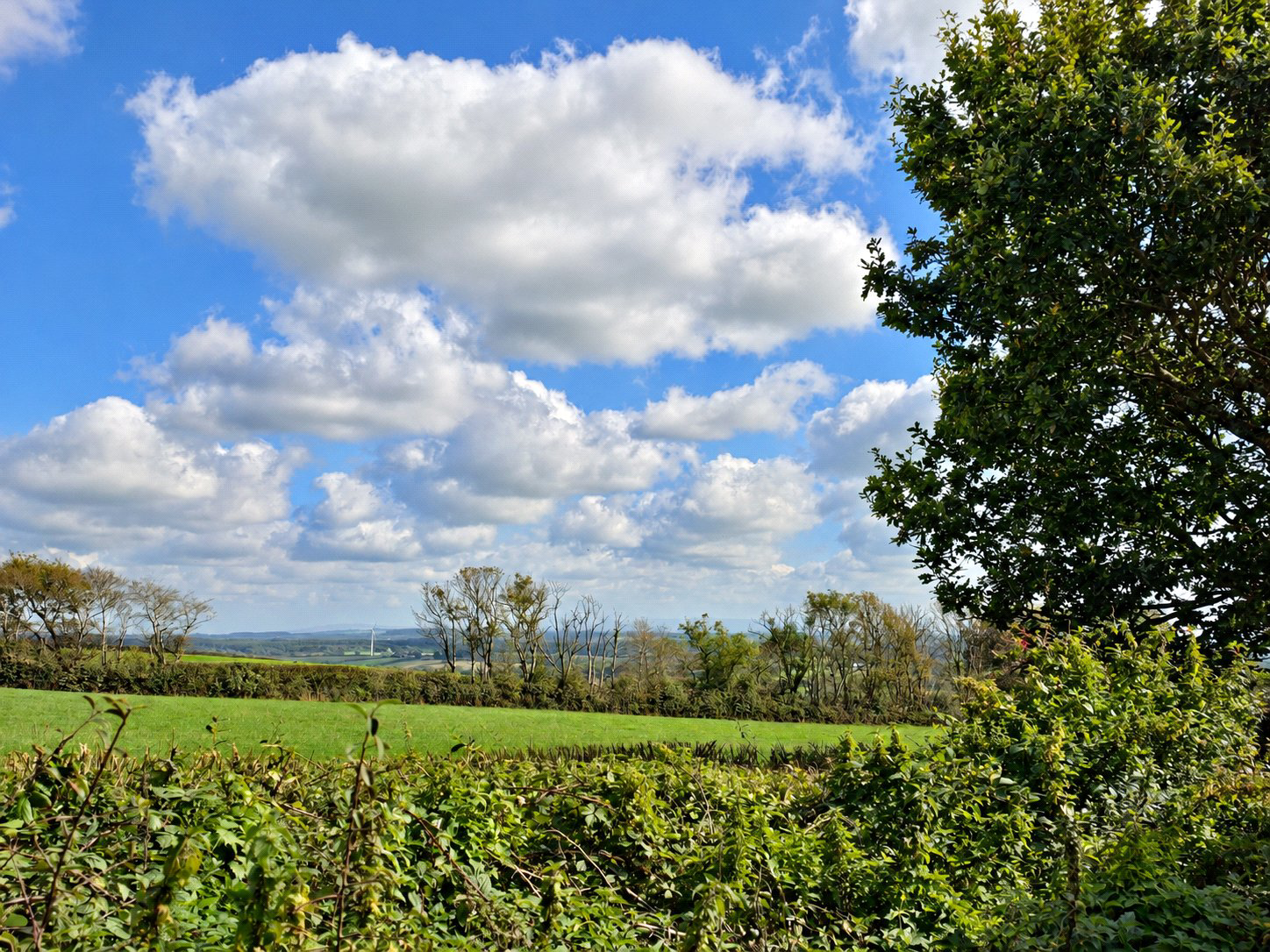 Shortlands, Pyworthy, Holsworthy, Devon, EX22, photo 23
