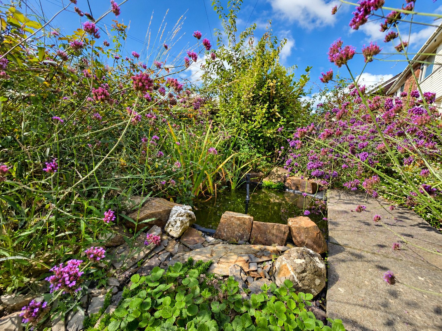 Shortlands, Pyworthy, Holsworthy, Devon, EX22, photo 4