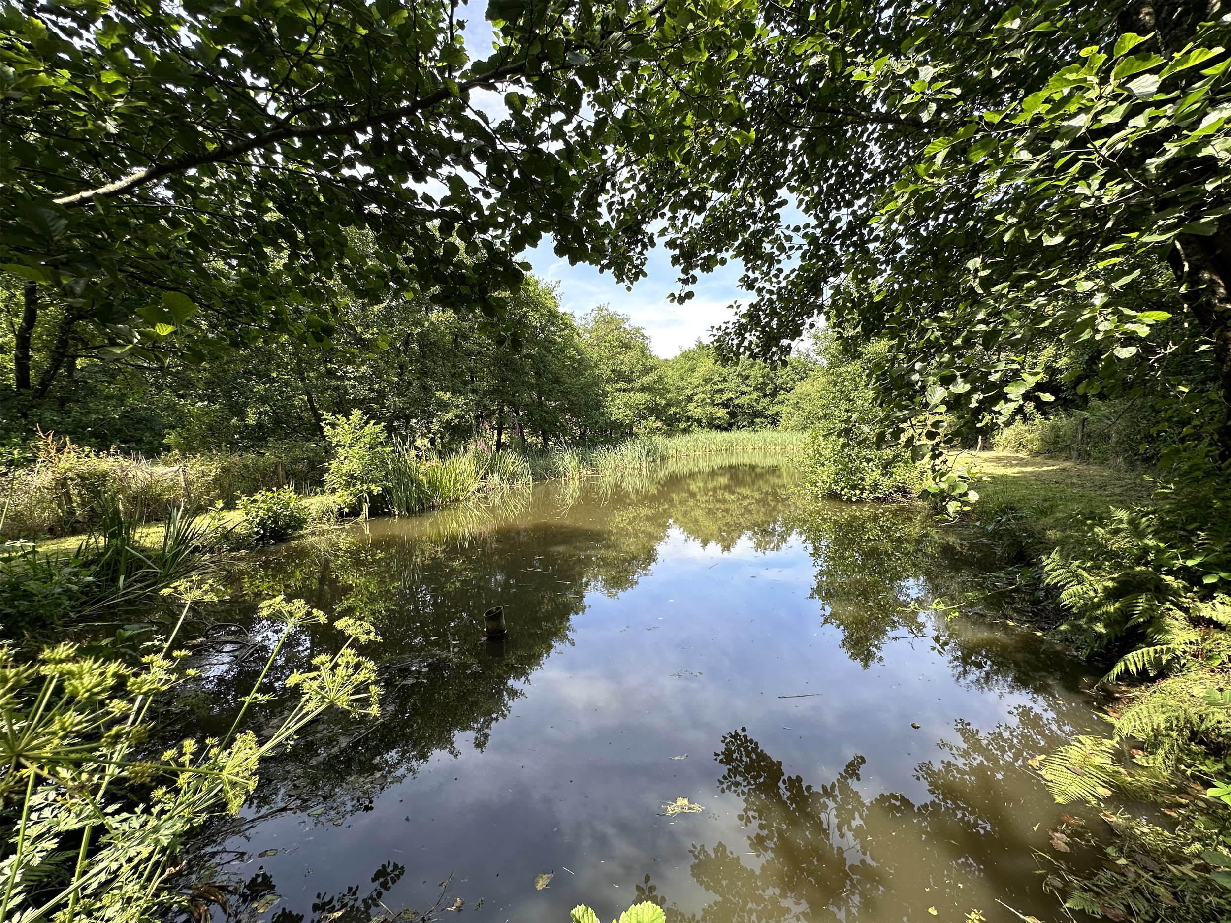 Seven Characterful Cottages & 4.5 Acres, West Down, Devon, EX34, photo 61