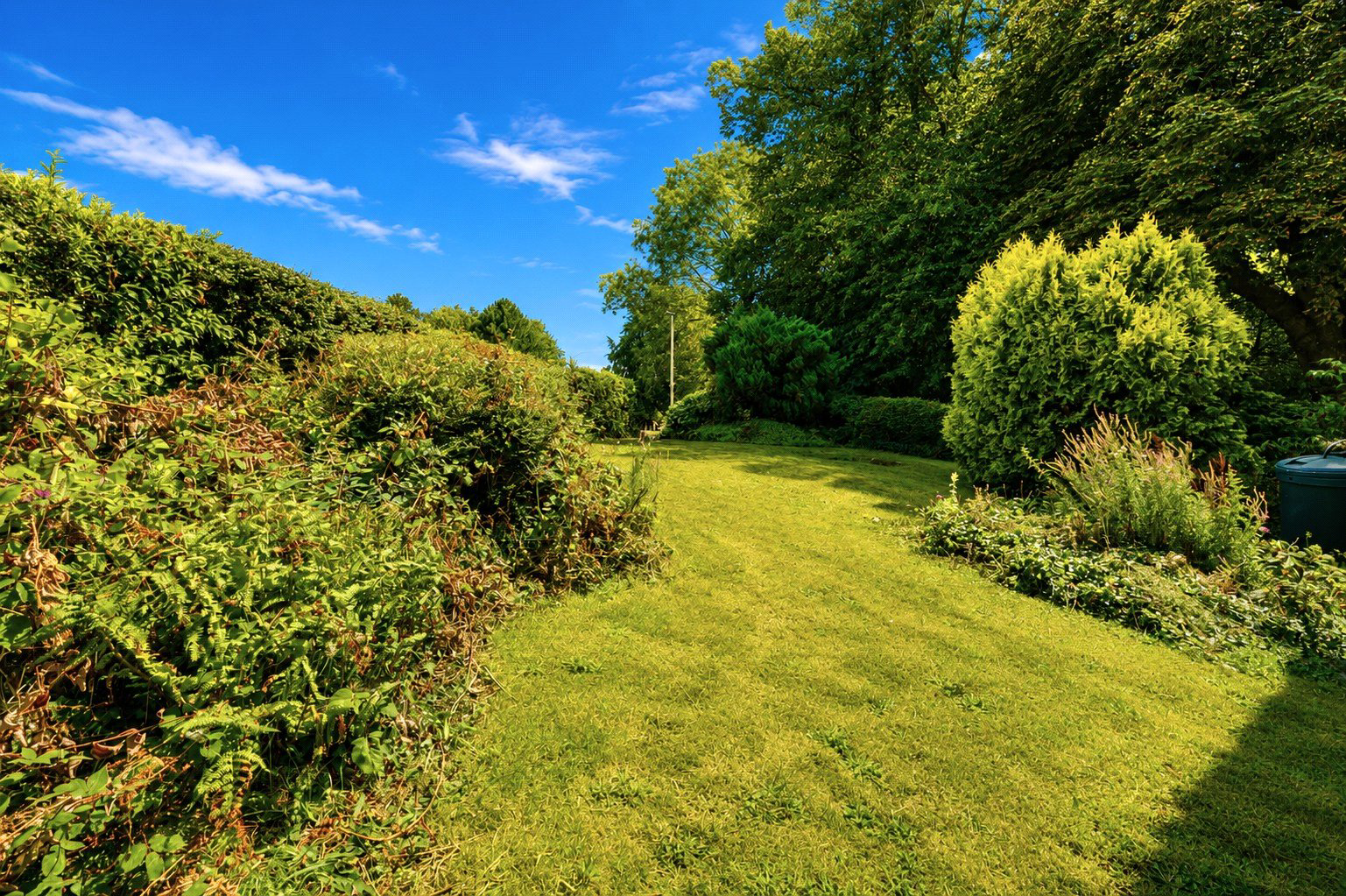 Lower Cross Road, Bickington, Barnstaple, Devon, EX31, photo 11