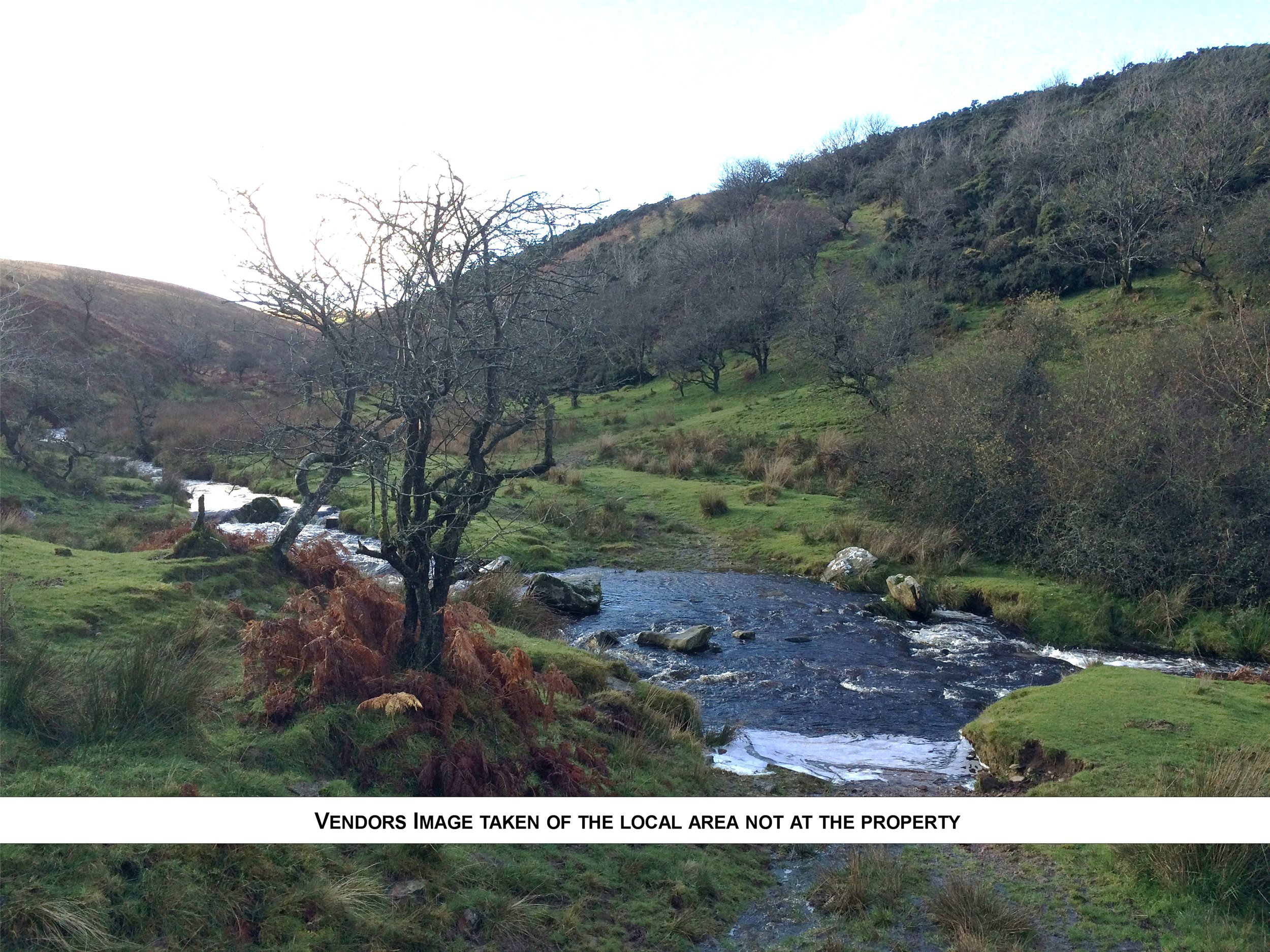 Porlock, Exmoor National Park, Minehead, Somerset, TA24, photo 26