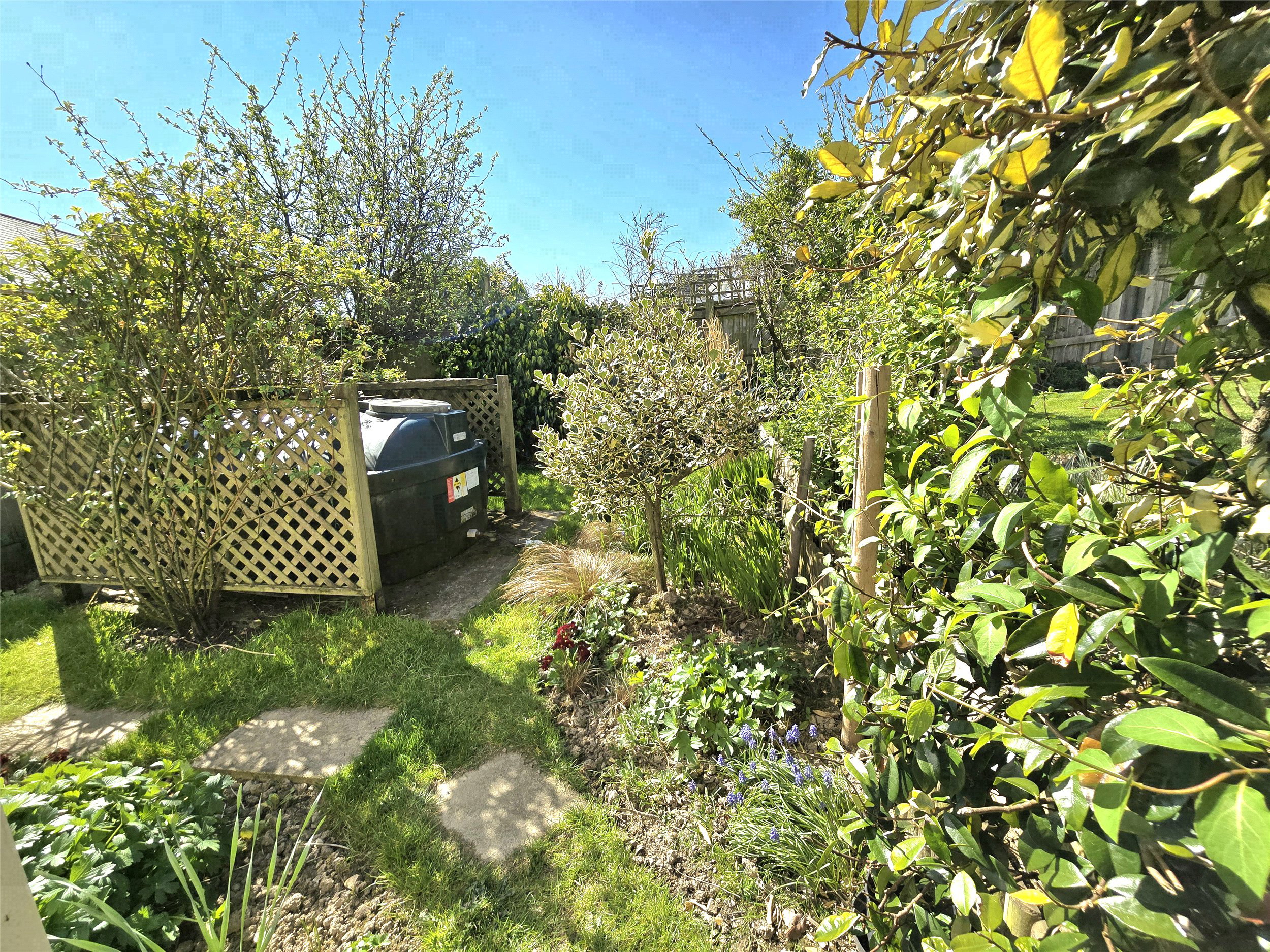 Molesworth Way, Holsworthy, EX22, photo 10