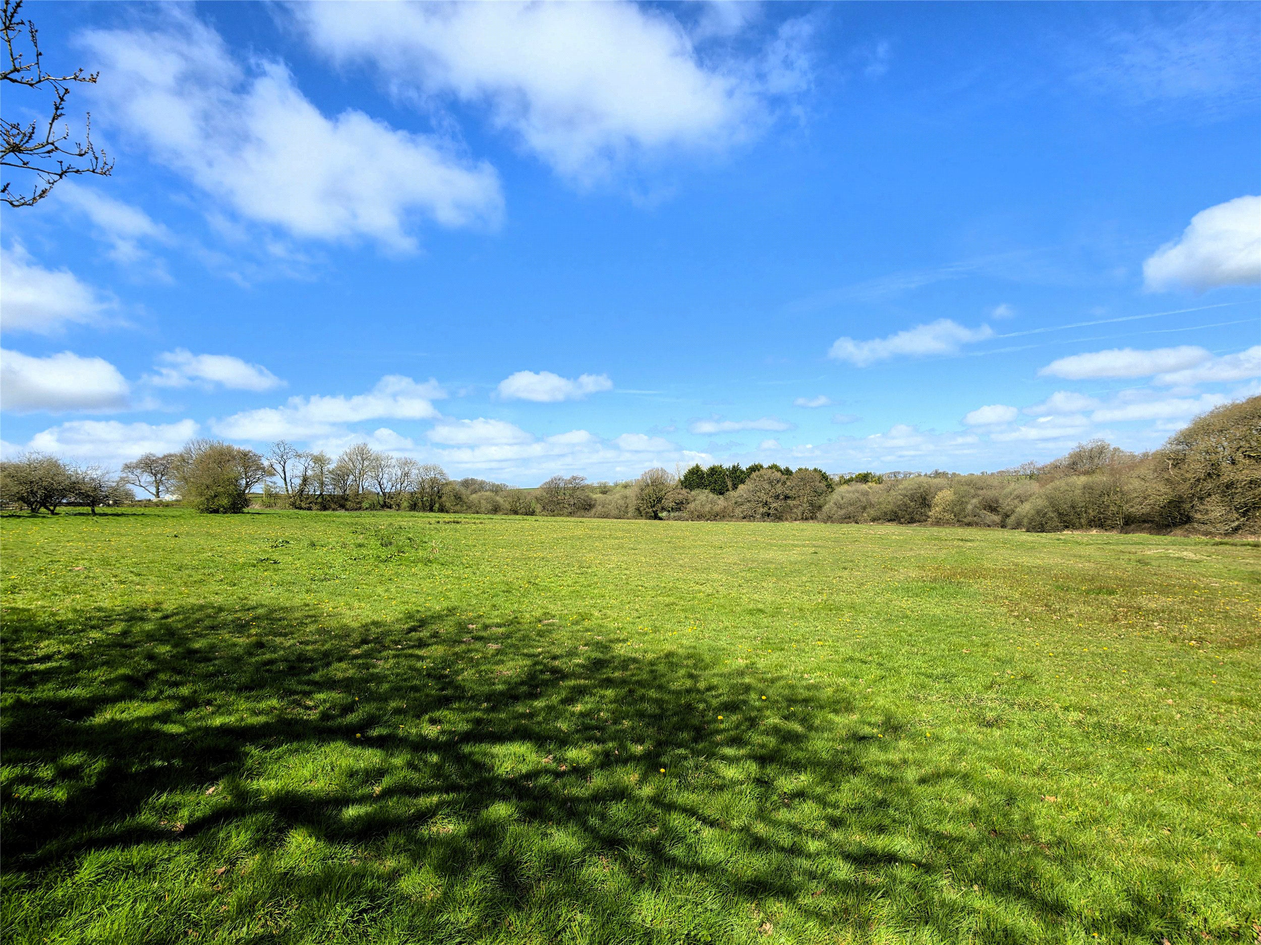 Roborough, Winkleigh, EX19, photo 17