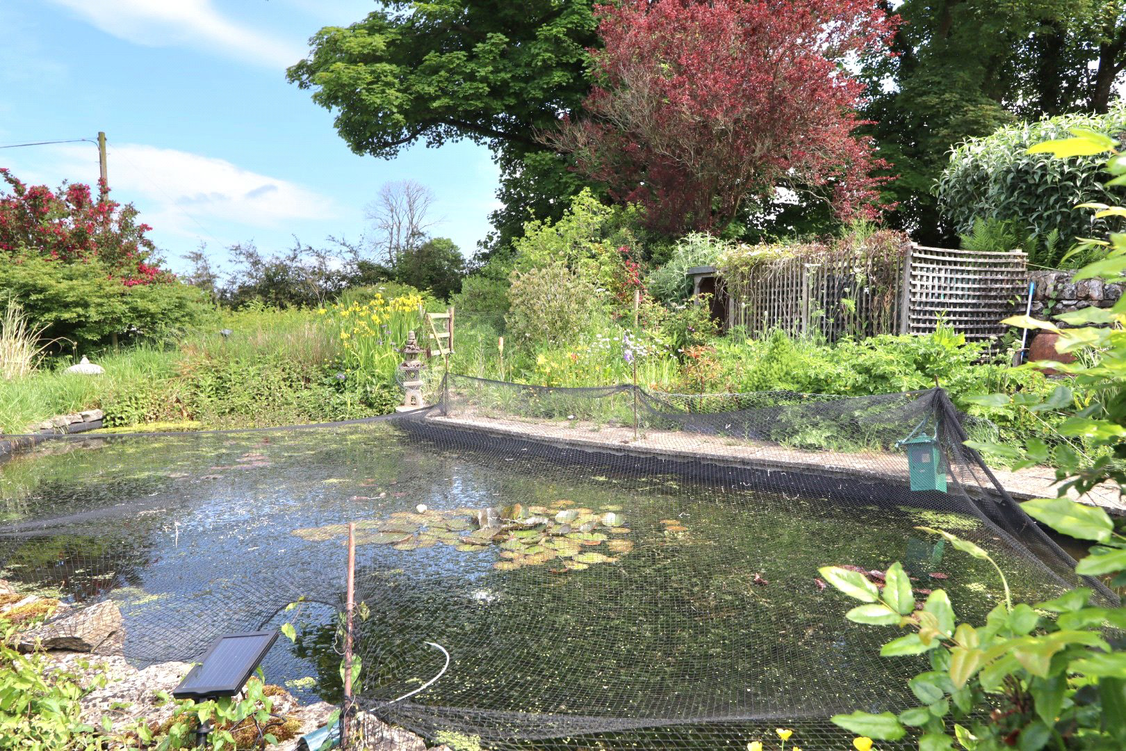 Buckland St. Mary, Taunton, Somerset, TA20, photo 43