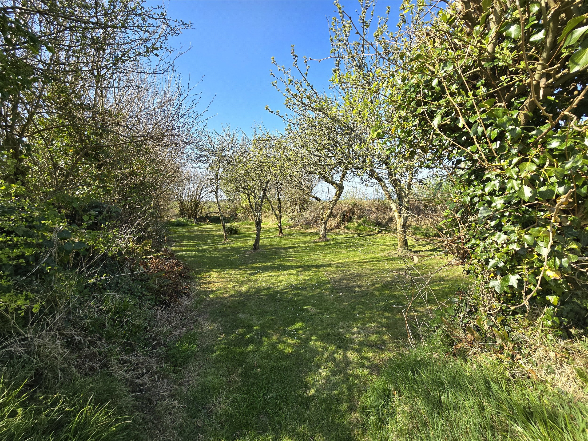 Crackington Haven, Bude, Cornwall, EX23, photo 15