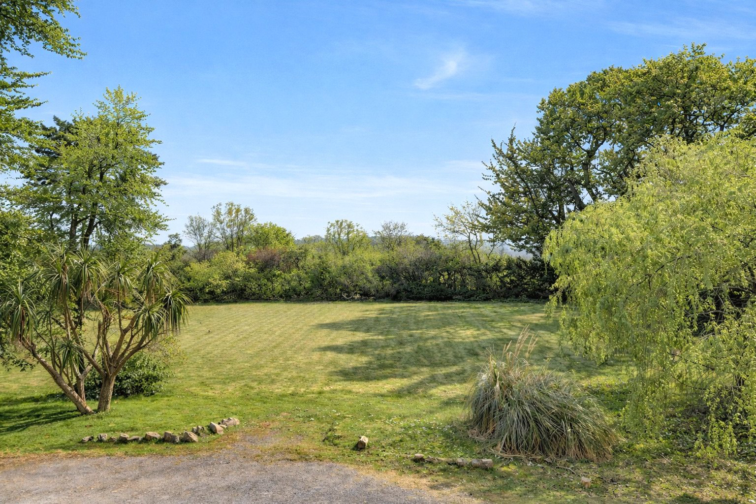 Photo 42